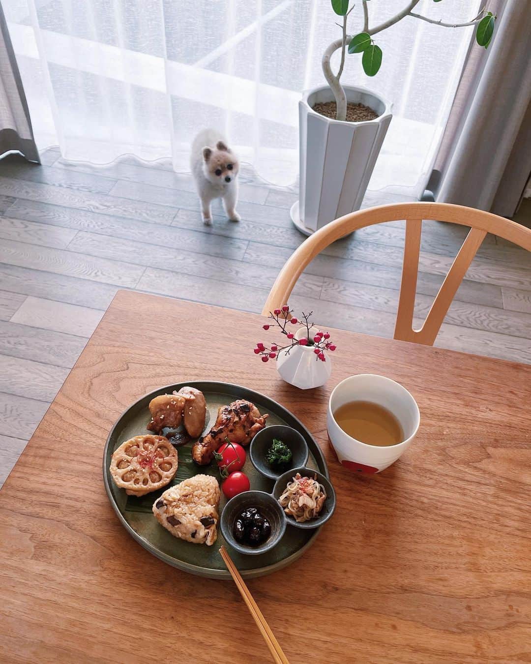 原田沙奈子さんのインスタグラム写真 - (原田沙奈子Instagram)「父と母が差し入れてくれた食事。  朝からせっせと作ったと思われるおかずたちが、大量のタッパーに入れられ我が家に来た。  小さな頃から食べ慣れているせいか、ホッとする☺️  最近の定番となったワンプレート。 （器は #瀬川辰馬 さんのオーバル、三組小付は #陶悦窯 ） ユズにジーッと見られながら食べてる。笑 ・炊き込みご飯 ・れんこんつくね ・里芋入り豚の角煮 ・豆豉と紹興酒で中華風にしたグリルチキン ・麻婆春雨 ・黒豆 ・あおさ ・トマト  このほかにもスープやパンやシフォンケーキなんかもあって。  まとめて風呂敷に包んでたけど、いったい風呂敷は何枚あったんだろ。  炊き込みご飯は釜ごとだし、グリルチキンは鉄板ごと、シフォンケーキは焼いたまま型ごと持ってくるからね。 笑っちゃうよね。  おかげで温かくって最高に美味しい食事だったー。  慣れ親しんだ愛しの茶色いごはんたち🤍  #おうちごはん」2月3日 13時43分 - sanakoharada