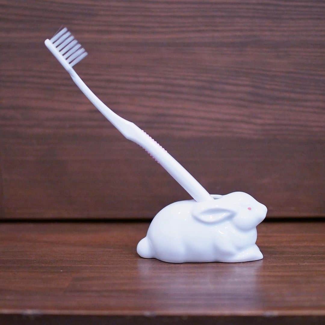 森山標子(しなこ)/Schinakoのインスタグラム：「My favorite item of rabbit design, toothbrush stand! It ’s a treasure that my friend gave me. 何年か前にお友達がくれた、九州のお土産です。細やかな造形、優しい赤い目、すごくかわいいでしょう？本当は爪楊枝たてなんだけど、歯ブラシたてにぴったりで、頂いて以来ずっと私の歯ブラシを支えてくれてます🐇 #rebekka私のいちおしうさぎアイテム」