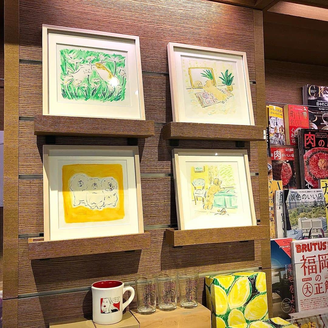 代官山 蔦屋書店　DAIKANYAMA T-SITEさんのインスタグラム写真 - (代官山 蔦屋書店　DAIKANYAMA T-SITEInstagram)「フェア﻿ 【a Heartful Gift】﻿ ベイクルーズが展開するブーランジェリー［BOUL’ANGE］から日常のあらゆるシーンに寄り添う、とっておきのスイーツギフトが届きました。﻿ お菓子を食べ終わっても、手元に置いておきたい素敵なパッケージデザインはイラストレーターの佐伯ゆう子さんが担当されています。﻿ フェアでは関連書籍や佐伯さんの原画、ZINE、グッズも併せてご紹介します。佐伯さんの描く鮮やかな檸檬とおどけた黒猫、ほっこりする柴犬、TOKYOの名所がパッケージとなった3種類の素敵なスイーツギフトを是非、大切な方へ。そしてご自分へのちょっとしたご褒美にも。パッケージキャラクターの黒猫と柴犬グッズもお菓子と一緒にお楽しみください。﻿ 3号館1階マガジンストリートにて本日より3月15日まで開催しております。﻿ ﻿ 二度目の開催となる今回は似顔絵イベント【きみとわたし／yuko saeki】も併せて開催致します。﻿ お菓子のパッケージで描かれている黒猫・柴犬にちなんで、世界にたった１枚のパートナー（愛犬、愛猫など）との似顔絵をイラストレーターの佐伯ゆう子さんに描いていただきます。﻿ ﻿ イベント【きみとわたし / Yuko saeki】﻿ お申し込み方法: 代官山 蔦屋書店オンラインショップよりお申し込みください。﻿ お申し込み期間: 2月3日〜2月16日（先着20名限定）﻿ 金額: ￥24,750（税込）額装込﻿ サイズ：W180mm×H180mm×D25mm﻿ （作品　W120×H120 ）﻿ 納期: 4月上旬を予定しております。﻿ ﻿ お問い合わせは雑誌担当までお願い致します。 #yukosaeki #boulange #flavorworks #baycrews #佐伯ゆう子#祝日堂 #黒猫#柴犬#似顔絵#きみとわたし #代官山蔦屋書店 #daikanyamatsutayabooks」2月3日 14時11分 - daikanyama.tsutaya