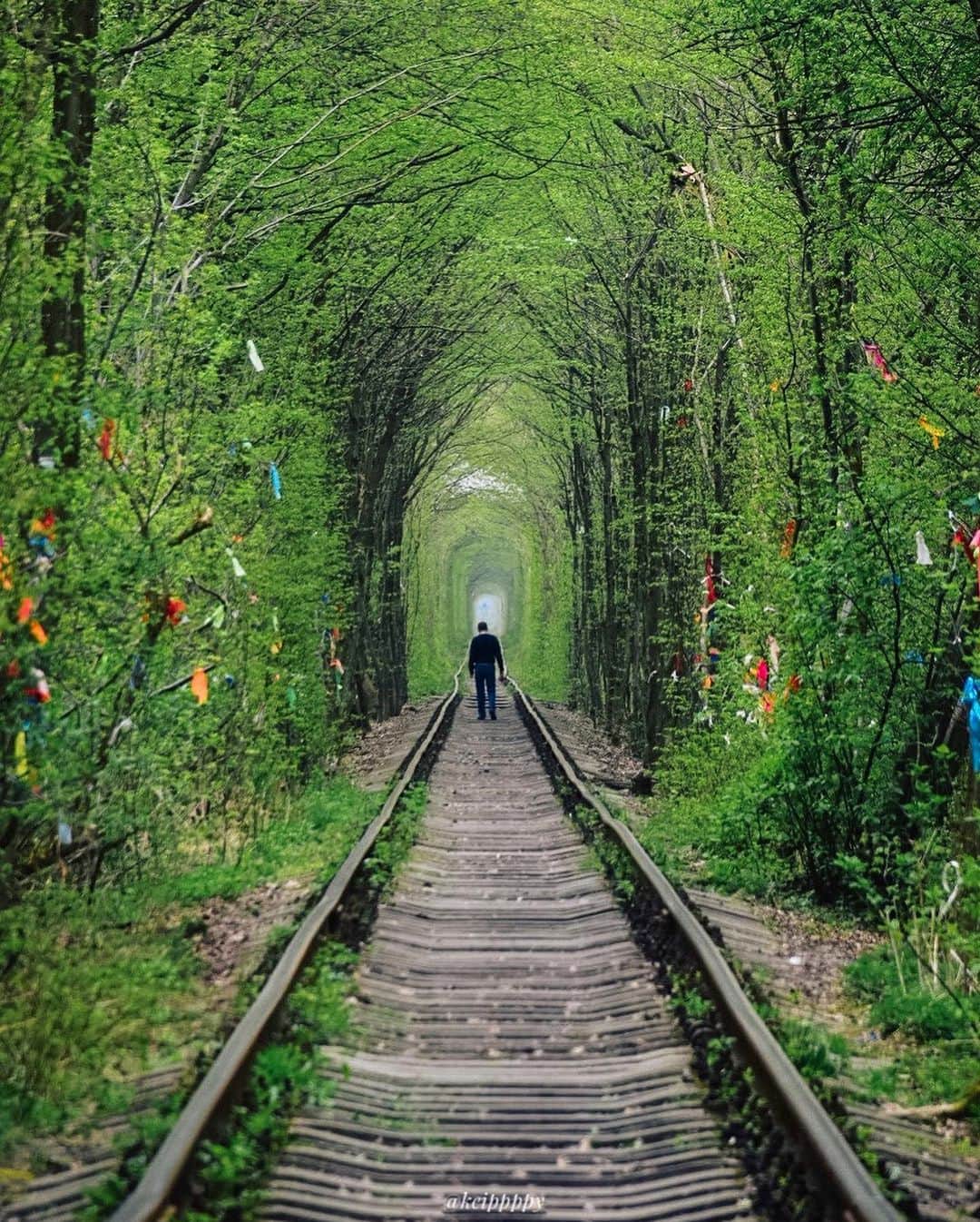 タビイクさんのインスタグラム写真 - (タビイクInstagram)「. 【65.ウクライナ🇺🇦】  The tunnel of love(#愛のトンネル )と呼ばれるこの場所は、リウネという北西部の街から、さらにバスで45分ほど走った場所にある田舎町クレーヴェンにあります🚌  未だ現役の線路で、1日に数回だけですが貨物列車が通ります。  恋人同士で手を繋いでくぐれば永遠に結ばれる…なんて話もあるんだとか…。  .  ウクライナと聞いて「#美女 」というワードが思い浮かんだ人も少なくないでしょう。「美人が多い国ランキング」で常にトップ10入りをしており、実際に街を歩いていても、美しい女性を多く見かけます💃  【#タビイク世界制覇 】  photo by @keippppy  ✼••┈┈••✼••┈┈••✼••┈┈••✼••┈┈••✼ ••┈┈••✼ ﻿  \\写真で世界全ての国を巡る［写真で世界制覇］//  海外に行けない今だから 他の国のこともっと知ってみませんか？  @tabiiku をタグ付けすると、お写真が紹介されるかも！？  ✼••┈┈••✼••┈┈••✼••┈┈••✼••┈┈••✼ ••┈┈••✼  #旅行好き#絶景 #タビイク #ウクライナ #Ukraina #ヨーロッパ #秘境  #tabippo」2月3日 20時18分 - tabiiku