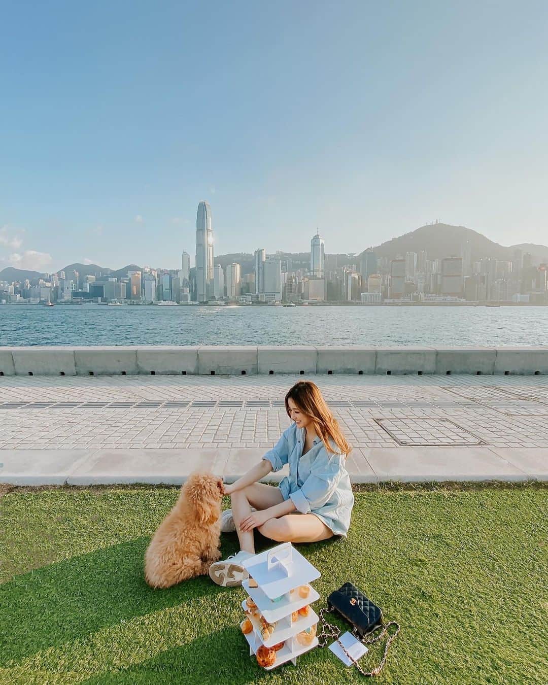 のインスタグラム：「My fluffy friend can always turn my picture boring into brilliant.  #Hongkong #Puppylove #Victoriaharbour #tiffanyblueboxcafe #afternoontea」