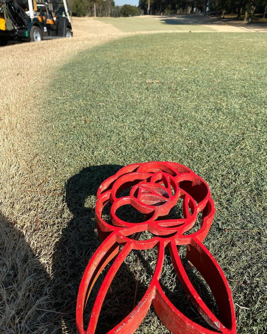 佐藤衣里子さんのインスタグラム写真 - (佐藤衣里子Instagram)「今日はプロの方に教えてもらいながらラウンドしました😊✨  教え方も上手で少しずつ疑問を解決しながらできました☺︎🏌️‍♀️⛳️✨  上手くなりたい🥺  #golf#golfstagram#golfgirl#千葉#カメリア」2月3日 15時04分 - eriko0625