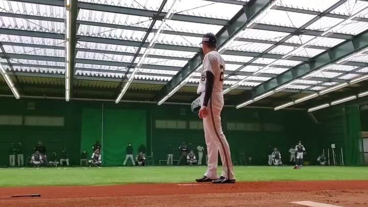 オリックス・バファローズのインスタグラム