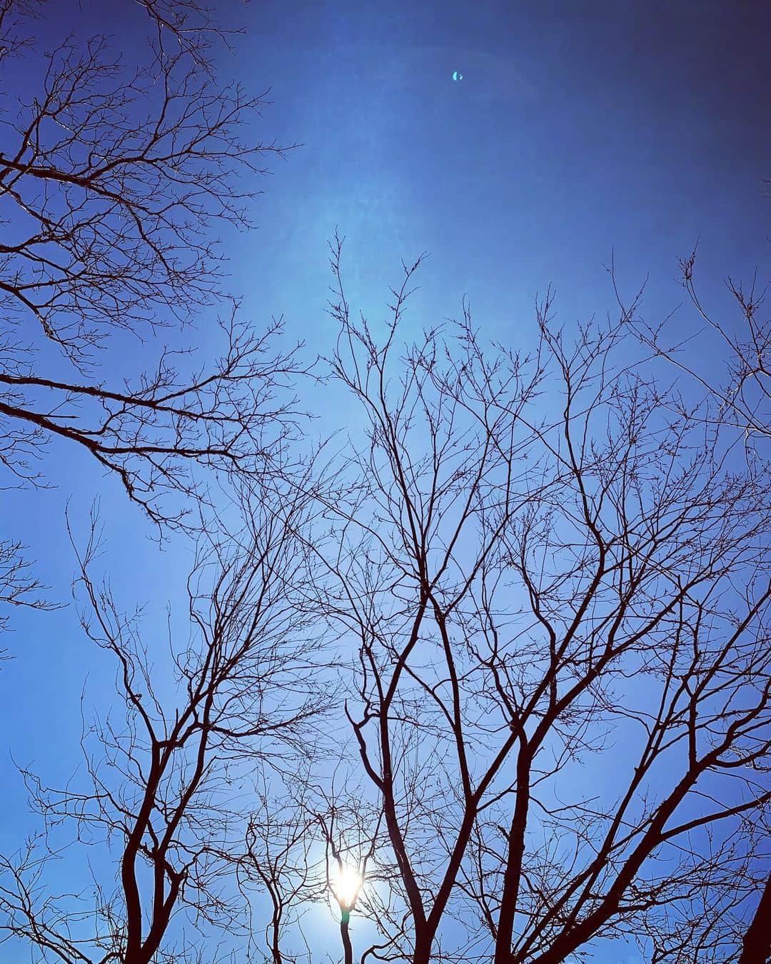 神谷洵平さんのインスタグラム写真 - (神谷洵平Instagram)「優河バンドで合宿レコーディング。 ダビング待ち。ずっと変わらない、ここのベランダで寝転んだ時の空が好き🌲」2月3日 15時51分 - junpeikamiya