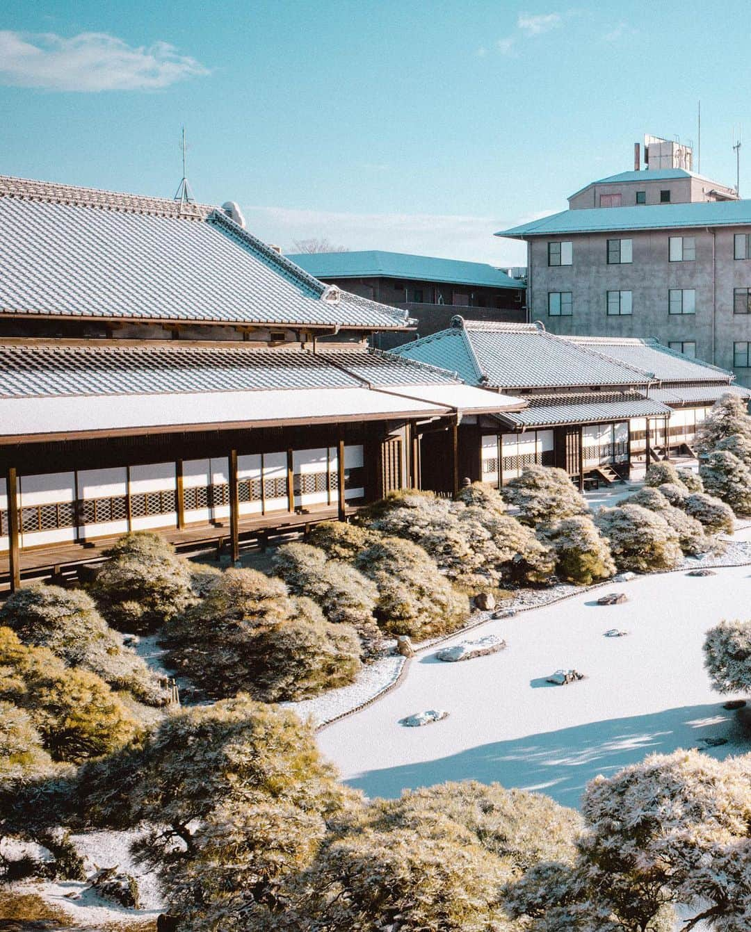 柳川藩主立花邸御花 | Yanagawa Ohanaのインスタグラム：「2021年。珍しい雪景色の御花❄️﻿ ﻿ 四季のうつろいをゆったりと感じることができる国指定名勝の松濤園。﻿ ﻿ まっしろになる雪景色は、﻿ より一層特別で美しい風景でした✨﻿ ﻿ そして、御花の西洋館の方でも﻿ 大きな蘇轍にうっすらと雪が。﻿ この蘇轍は噂によると、江戸時代から御花にあったものを西洋館が建てられた記念に移動させたものなのだとか。﻿ ﻿ エキゾチックな佇まいの蘇轍は、﻿ 室町時代から江戸時代にかけて流行したそうで﻿ なんと1年に約2〜4センチとゆっくりゆっくり育ちます。﻿ ﻿ あまりここまで大きく育ったものはないので、﻿ ぜひ遊びにいらっしゃった際はゆっくりとご覧になってみてください。﻿ ﻿ ﻿ #柳川藩主立花邸御花﻿ #御花#柳川#ohana﻿ #yanagawa #fukuoka﻿ #立花家#歴史#レトロ#ハイカラ﻿ #旅行#雪のお庭﻿ #料亭旅館#福岡旅館﻿ #日本料理#福岡料亭#柳川旅行﻿ #九州旅行#福岡旅行#文化財ホテル﻿ #文化財旅館#国指定名勝﻿ #文化財の中で暮らす#古民家﻿ #伯爵家#重要文化財﻿ #水辺のある暮らし#雪景色」