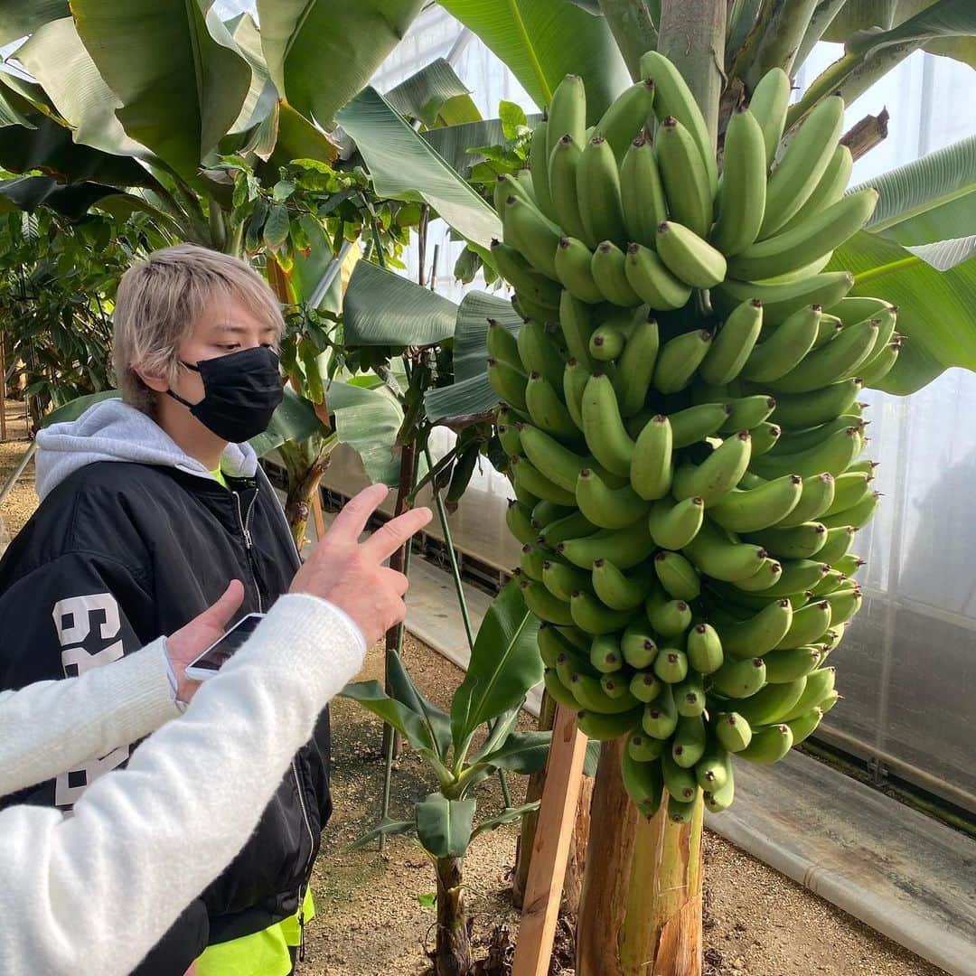 手越祐也さんのインスタグラム写真 - (手越祐也Instagram)「農業の色んな件の視察に行ってきたよ😊 無農薬で体に良いものを作る農家の方達はみなさん素敵でした！！　 あとやっぱり自然と緑に囲まれたところは癒されるし最高だよね。  4枚目は初めてみた自販機だから思わず撮っちゃった笑 パパが出張に行ってる間は子供たちは実家でゆったり。 スカルとエマとティファが3人で並んでるのめちゃ可愛くない？😍 2月もさまざまなお仕事や撮影や打ち合わせがあって充実させてもらってます！ 心から感謝✌️  Went on a tour of various agricultural matters 😊. The farmers who make pesticide-free products that are good for you are all wonderful!　 I've been to a lot of places that are surrounded by nature and greenery and it's really relaxing.  The fourth picture is the first vending machine I've ever seen, so I couldn't resist taking it. While I was away on a business trip, the kids were relaxing at my house. Isn't it so cute to see Skull, Emma, and Tifa all together? 😍 I've had a lot of work, shoots, and meetings in February, and it's been fulfilling! Thank you!! from the bottom of my heart!  #手越祐也 #yuyategoshi #手越祐也オフショット #てごにゃん #テイッ」2月3日 16時21分 - yuya.tegoshi1054