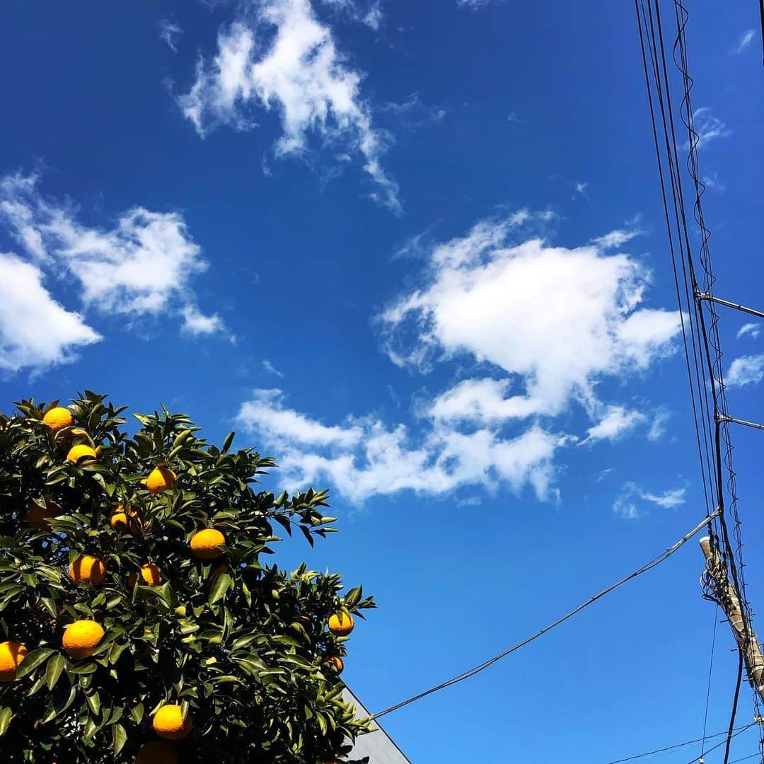 塩谷哲さんのインスタグラム写真 - (塩谷哲Instagram)「昨日とは打って変わって穏やかで暖かな日。文字通りの「立春」。すごいな。」2月3日 16時24分 - satoru_shionoya