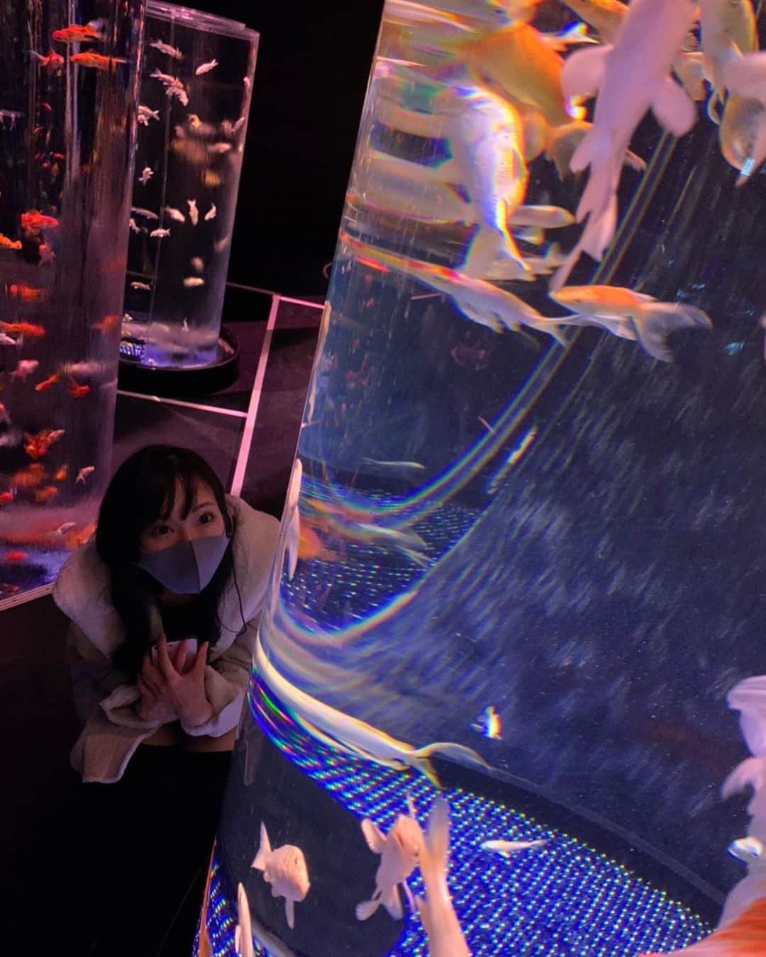たなかさえさんのインスタグラム写真 - (たなかさえInstagram)「ただただお魚見てただけだけどはるかさん(@harukaszuki)の写真のセンスが👍💞 . #アクアリウム#アートアクアリウム#アートアクアリウム日本橋#東京#日本橋#金魚」2月3日 16時49分 - sae.tnk