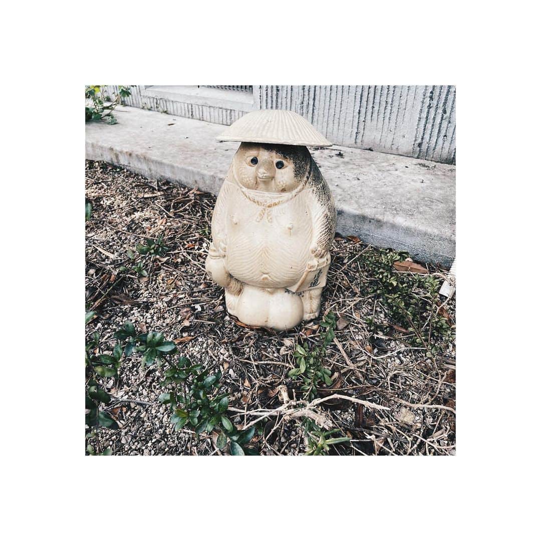川本睦子さんのインスタグラム写真 - (川本睦子Instagram)「. . #なんとも言えない表情 #たぬき #近所 #娘が見つけた #せつない」2月3日 16時49分 - muzco