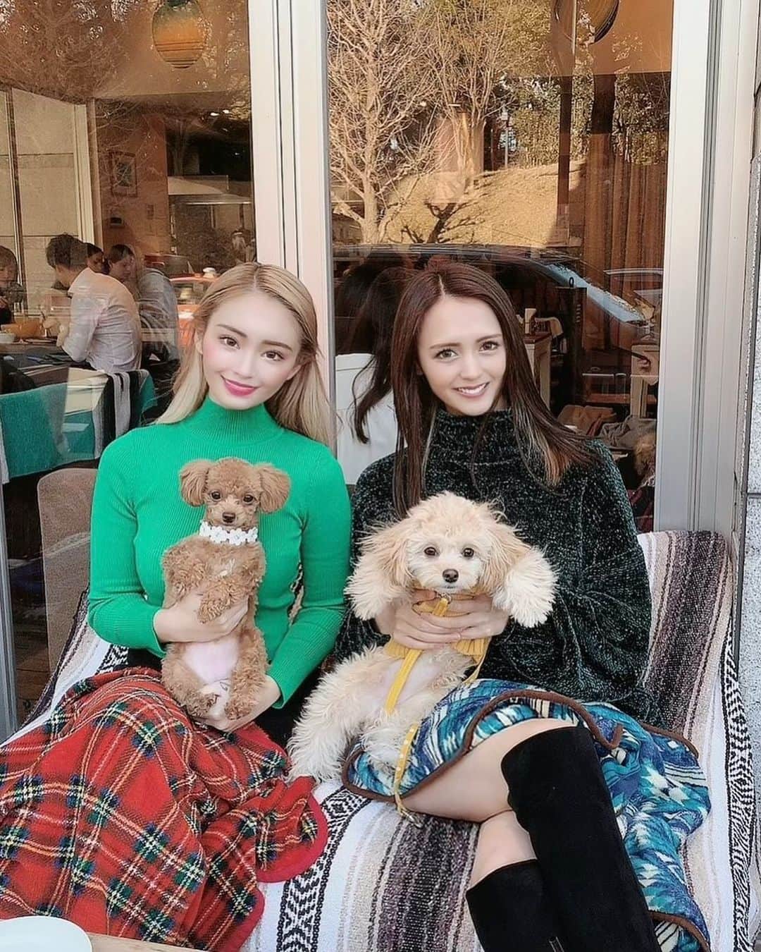 Yuriのインスタグラム：「みんと#bondicafe でランチ❤️💓 昼活最高😊💕 写メ撮るの久々すぎて緊張😂笑っ 更新頑張ります🥺⭐️  #カフェ #昼活 #ぷー #テテ #チワプー #cafe #おしゃれ女子になりたい #笑  #instagood #lunch #dogstagram」