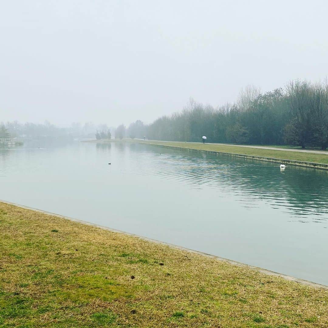 マッシモ・ゴッビのインスタグラム：「Morning run...🏃🏻💨」