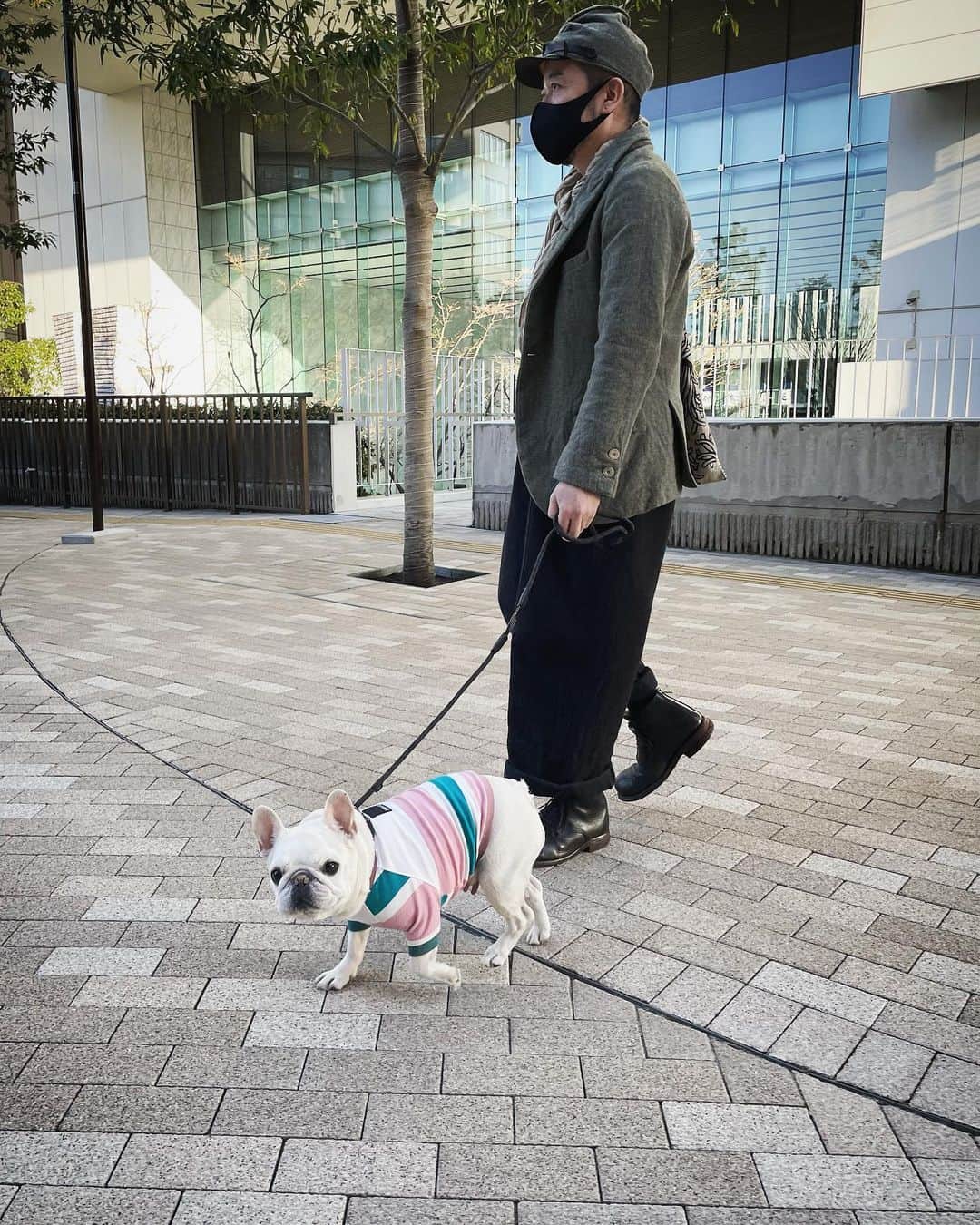 Ham-chanさんのインスタグラム写真 - (Ham-chanInstagram)「#frenchbulldog #frenchie #paulharnden #hamham  #hamchan  #フレブル #フレンチブルドッグ #はむはむ #はむちゃん #散歩😊🐶✨」2月3日 17時52分 - hide_ham_tank