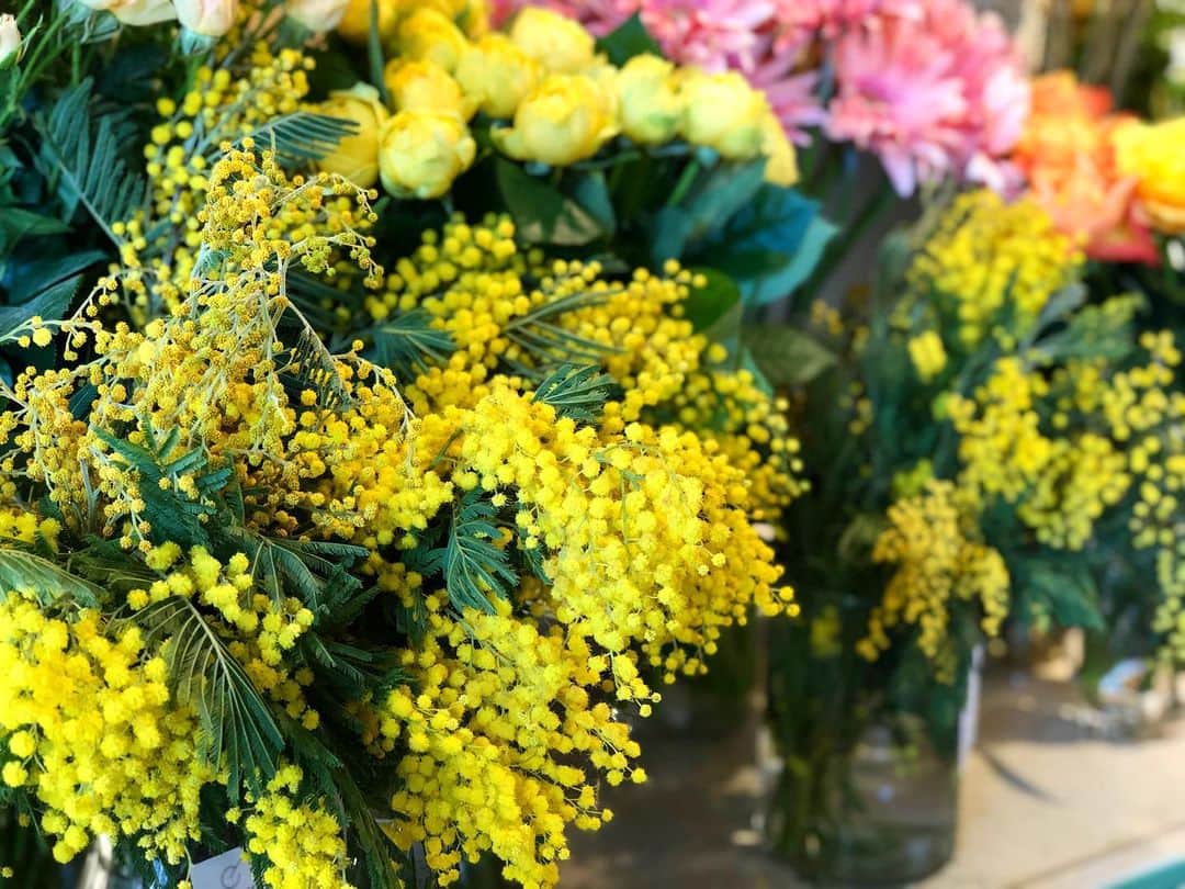 アンヘロ・カロ・ヌエバスのインスタグラム：「本日もありがとうございました。 明日　2月4日（木）は臨時休業させていただきます。 よろしくお願いします。  #flowers  #花のある暮らし  #flowershop  #花屋 #driedflowers」