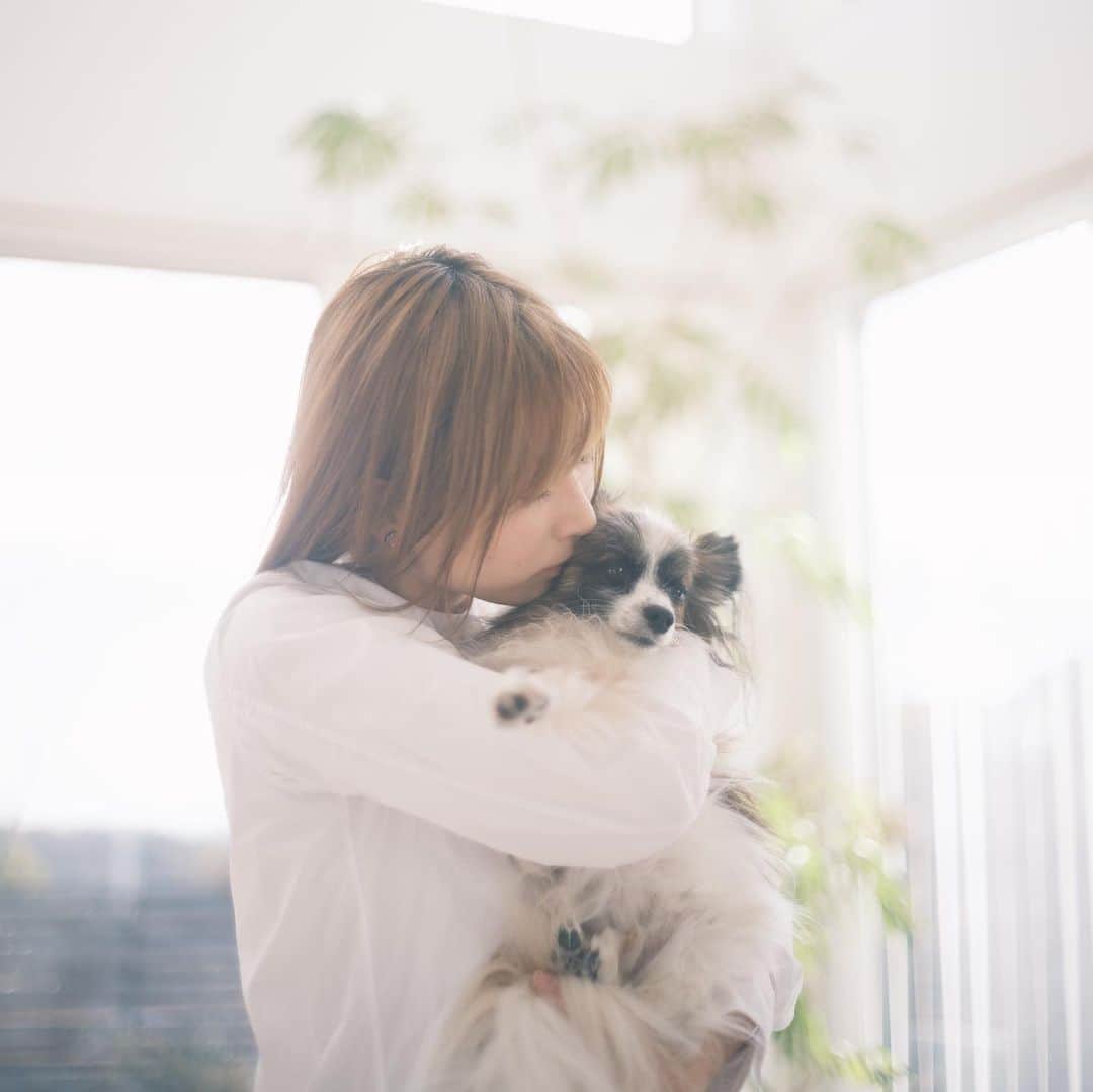 sorayuchiのインスタグラム：「・ 2021.02.02  ソラが天国に行きました。  Instagramを通じてソラマメも一緒に全国を旅して  たくさんのお友達ができました。  ソラと遊んでくれた方  温かいコメントをくれた方  DMやLINEをくれた方  言葉にできず心配して頂いていた方も きっといらっしゃったと思います。  人が大好きだったソラはたくさんの人に愛され とても幸せだったと思います。  余命宣告されたことにより  なんでもない愛おしい日常を  より大切に過ごすことができました。  そして、最期は家族全員で見送ることができました。  本当にありがとうございました☘︎︎  これからもソラ家をどうぞよろしくお願い致します😊  ソラ、10年間とても幸せな時間をありがとう。」