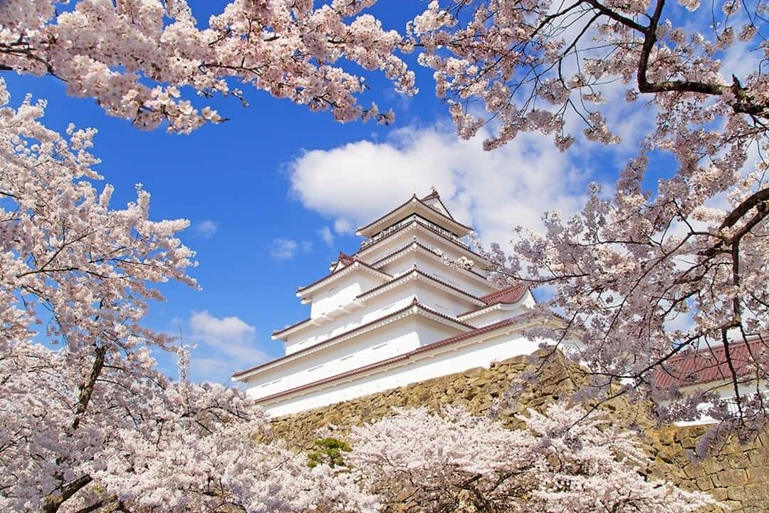 TOBU RAILWAY（東武鉄道）さんのインスタグラム写真 - (TOBU RAILWAY（東武鉄道）Instagram)「. . 🚩Tsuruga Castle - Aizu Wakamatsu, Japan . . [Let's enjoy Tsurugajo Castle in Aizu-Wakamatsu in spring!] . Cherry blossoms symbolize Japan's spring! Around Tsurugajo Castle, which is a landmark in Aizu-Wakamatsu in the Tohoku region, approximately 1,000 cherry blossom trees bloom in spring and create a very beautiful sight. The Tsurugajo Cherry Blossom Festival, with various fun events, is held from the early April through early May every year. How about enjoying Japan's spring in Aizu-Wakamatsu? To conveniently and reasonably travel around the Aizu-Wakamatsu area, where Ashimomaki Onsen is,  we recommend using the “Yuttari (relaxing) Aizu Tobu Free Pass” from Tobu Railway.  *The schedule for this year's Tsurugajo Cherry Blossom Festival has not been decided yet.  For the updated information, please see their official website. . #visituslater #stayinspired #nexttripdestination . . . #tsurugacastle #aizuwakamatsu #aizu #cherryblossom #japanesecastle #japantrip #discoverjapan #travelgram #japantrip #tobujapantrip #unknownjapan #jp_gallery #visitjapan #japan_of_insta #art_of_japan #instatravel  #japan #instagood #travel_japan #exoloretheworld #ig_japan #explorejapan #travelinjapan #beautifuldestinations #japan_vacations #beautifuljapan #japanexperience」2月3日 18時00分 - tobu_japan_trip