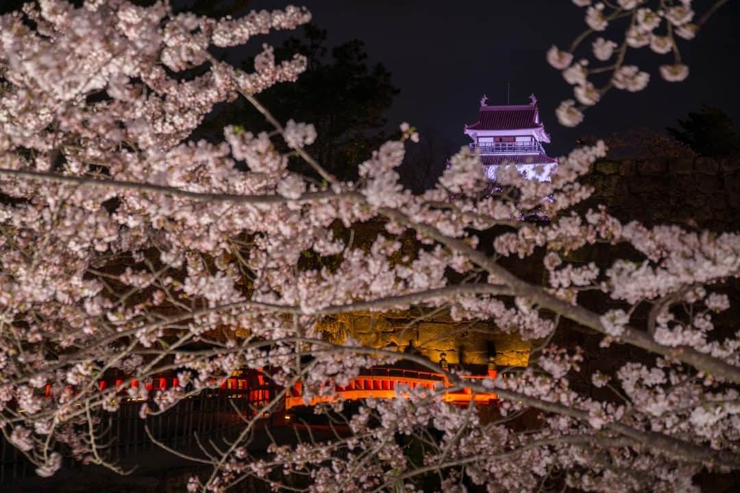 TOBU RAILWAY（東武鉄道）さんのインスタグラム写真 - (TOBU RAILWAY（東武鉄道）Instagram)「. . 🚩Tsuruga Castle - Aizu Wakamatsu, Japan . . [Let's enjoy Tsurugajo Castle in Aizu-Wakamatsu in spring!] . Cherry blossoms symbolize Japan's spring! Around Tsurugajo Castle, which is a landmark in Aizu-Wakamatsu in the Tohoku region, approximately 1,000 cherry blossom trees bloom in spring and create a very beautiful sight. The Tsurugajo Cherry Blossom Festival, with various fun events, is held from the early April through early May every year. How about enjoying Japan's spring in Aizu-Wakamatsu? To conveniently and reasonably travel around the Aizu-Wakamatsu area, where Ashimomaki Onsen is,  we recommend using the “Yuttari (relaxing) Aizu Tobu Free Pass” from Tobu Railway.  *The schedule for this year's Tsurugajo Cherry Blossom Festival has not been decided yet.  For the updated information, please see their official website. . #visituslater #stayinspired #nexttripdestination . . . #tsurugacastle #aizuwakamatsu #aizu #cherryblossom #japanesecastle #japantrip #discoverjapan #travelgram #japantrip #tobujapantrip #unknownjapan #jp_gallery #visitjapan #japan_of_insta #art_of_japan #instatravel  #japan #instagood #travel_japan #exoloretheworld #ig_japan #explorejapan #travelinjapan #beautifuldestinations #japan_vacations #beautifuljapan #japanexperience」2月3日 18時00分 - tobu_japan_trip