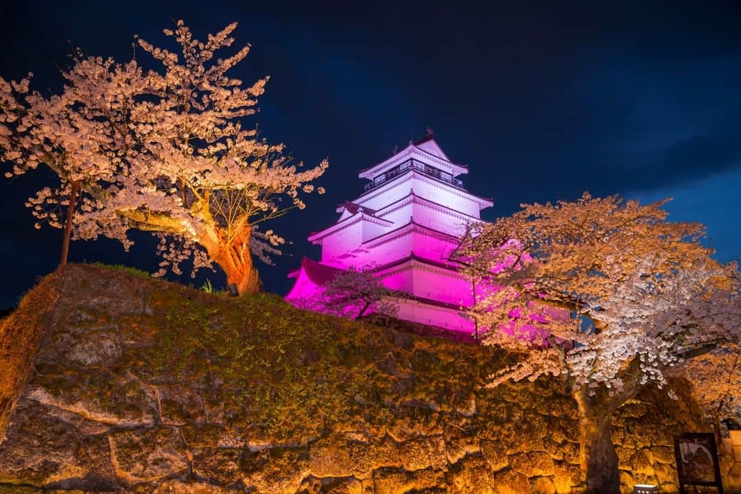 TOBU RAILWAY（東武鉄道）さんのインスタグラム写真 - (TOBU RAILWAY（東武鉄道）Instagram)「. . 🚩Tsuruga Castle - Aizu Wakamatsu, Japan . . [Let's enjoy Tsurugajo Castle in Aizu-Wakamatsu in spring!] . Cherry blossoms symbolize Japan's spring! Around Tsurugajo Castle, which is a landmark in Aizu-Wakamatsu in the Tohoku region, approximately 1,000 cherry blossom trees bloom in spring and create a very beautiful sight. The Tsurugajo Cherry Blossom Festival, with various fun events, is held from the early April through early May every year. How about enjoying Japan's spring in Aizu-Wakamatsu? To conveniently and reasonably travel around the Aizu-Wakamatsu area, where Ashimomaki Onsen is,  we recommend using the “Yuttari (relaxing) Aizu Tobu Free Pass” from Tobu Railway.  *The schedule for this year's Tsurugajo Cherry Blossom Festival has not been decided yet.  For the updated information, please see their official website. . #visituslater #stayinspired #nexttripdestination . . . #tsurugacastle #aizuwakamatsu #aizu #cherryblossom #japanesecastle #japantrip #discoverjapan #travelgram #japantrip #tobujapantrip #unknownjapan #jp_gallery #visitjapan #japan_of_insta #art_of_japan #instatravel  #japan #instagood #travel_japan #exoloretheworld #ig_japan #explorejapan #travelinjapan #beautifuldestinations #japan_vacations #beautifuljapan #japanexperience」2月3日 18時00分 - tobu_japan_trip