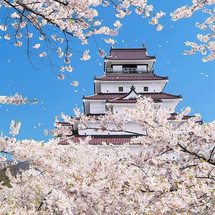 TOBU RAILWAY（東武鉄道）さんのインスタグラム写真 - (TOBU RAILWAY（東武鉄道）Instagram)「. . 🚩Tsuruga Castle - Aizu Wakamatsu, Japan . . [Let's enjoy Tsurugajo Castle in Aizu-Wakamatsu in spring!] . Cherry blossoms symbolize Japan's spring! Around Tsurugajo Castle, which is a landmark in Aizu-Wakamatsu in the Tohoku region, approximately 1,000 cherry blossom trees bloom in spring and create a very beautiful sight. The Tsurugajo Cherry Blossom Festival, with various fun events, is held from the early April through early May every year. How about enjoying Japan's spring in Aizu-Wakamatsu? To conveniently and reasonably travel around the Aizu-Wakamatsu area, where Ashimomaki Onsen is,  we recommend using the “Yuttari (relaxing) Aizu Tobu Free Pass” from Tobu Railway.  *The schedule for this year's Tsurugajo Cherry Blossom Festival has not been decided yet.  For the updated information, please see their official website. . #visituslater #stayinspired #nexttripdestination . . . #tsurugacastle #aizuwakamatsu #aizu #cherryblossom #japanesecastle #japantrip #discoverjapan #travelgram #japantrip #tobujapantrip #unknownjapan #jp_gallery #visitjapan #japan_of_insta #art_of_japan #instatravel  #japan #instagood #travel_japan #exoloretheworld #ig_japan #explorejapan #travelinjapan #beautifuldestinations #japan_vacations #beautifuljapan #japanexperience」2月3日 18時00分 - tobu_japan_trip