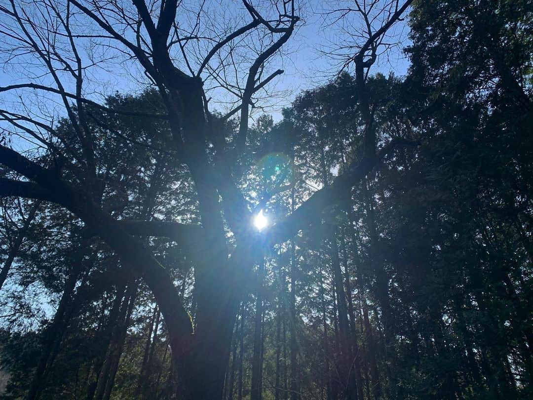 齊藤美絵さんのインスタグラム写真 - (齊藤美絵Instagram)「節分という 節目のタイミングに 弊立神宮へ⛩  次元を超えた尊い存在と この場所に生き続ける 木々の生命、 大地、風、太陽、水。 心を清め、静かに繋がる。  愛と調和。 しなやかに、穏やかに。  心に浮かび、 目の前にも現象として 伝えてくださる メッセージを御守りとして 大切に。  導いてくださった美しき魂、 この地を和を持って守り、 参拝客を迎える宮司さまや神主さま。  心から感謝を🙏✨  #節分　#弊立神宮　#⛩ #人と地球に健やかな暮らし　#ツタエルヒト。」2月4日 4時48分 - saitomie