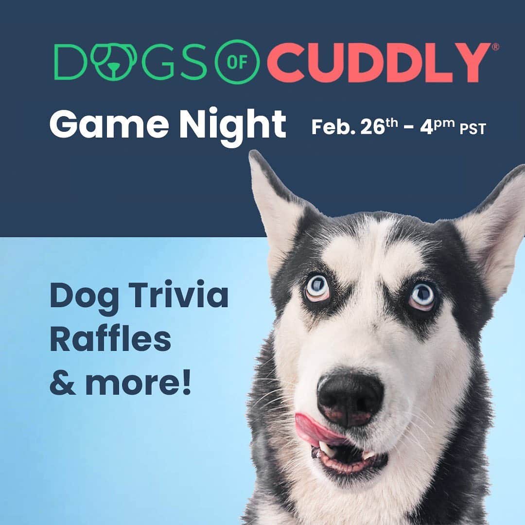 DogsOf Instagramさんのインスタグラム写真 - (DogsOf InstagramInstagram)「GAME NIGHT 🧩 Join us for a virtual night of trivia, raffles, prizes, and so much more!   It’s FREE to play! Space is limited and registration will close once we reach capacity, so sign up while you can! Link in bio 👾   Big thanks to our wonderful partners @welovecuddly for hosting this event. We’re so excited for a fun community night of games with you!   #dogsofinstagram #gamenight #virtualgames」2月4日 4時52分 - dogsofinstagram