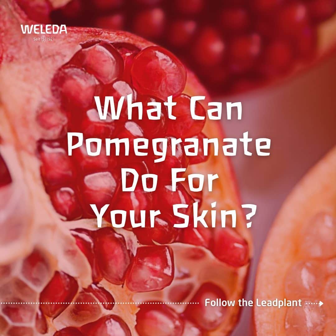 Weledaのインスタグラム：「Do you know the benefits of Pomegranate for your skin? ❤️ SWIPE to discover what the lead plant in our Awakening Collection can do for you! #WeledaSkin」