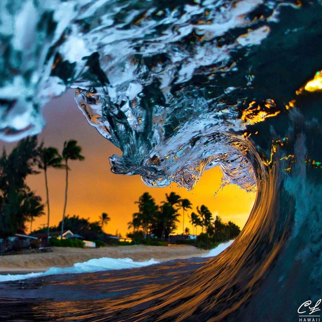 クラーク・リトルさんのインスタグラム写真 - (クラーク・リトルInstagram)「Last nights sunset 🌴🌴🌅🌴🌴 #hawaii #paradise #clarklittle 🆑」2月4日 5時20分 - clarklittle
