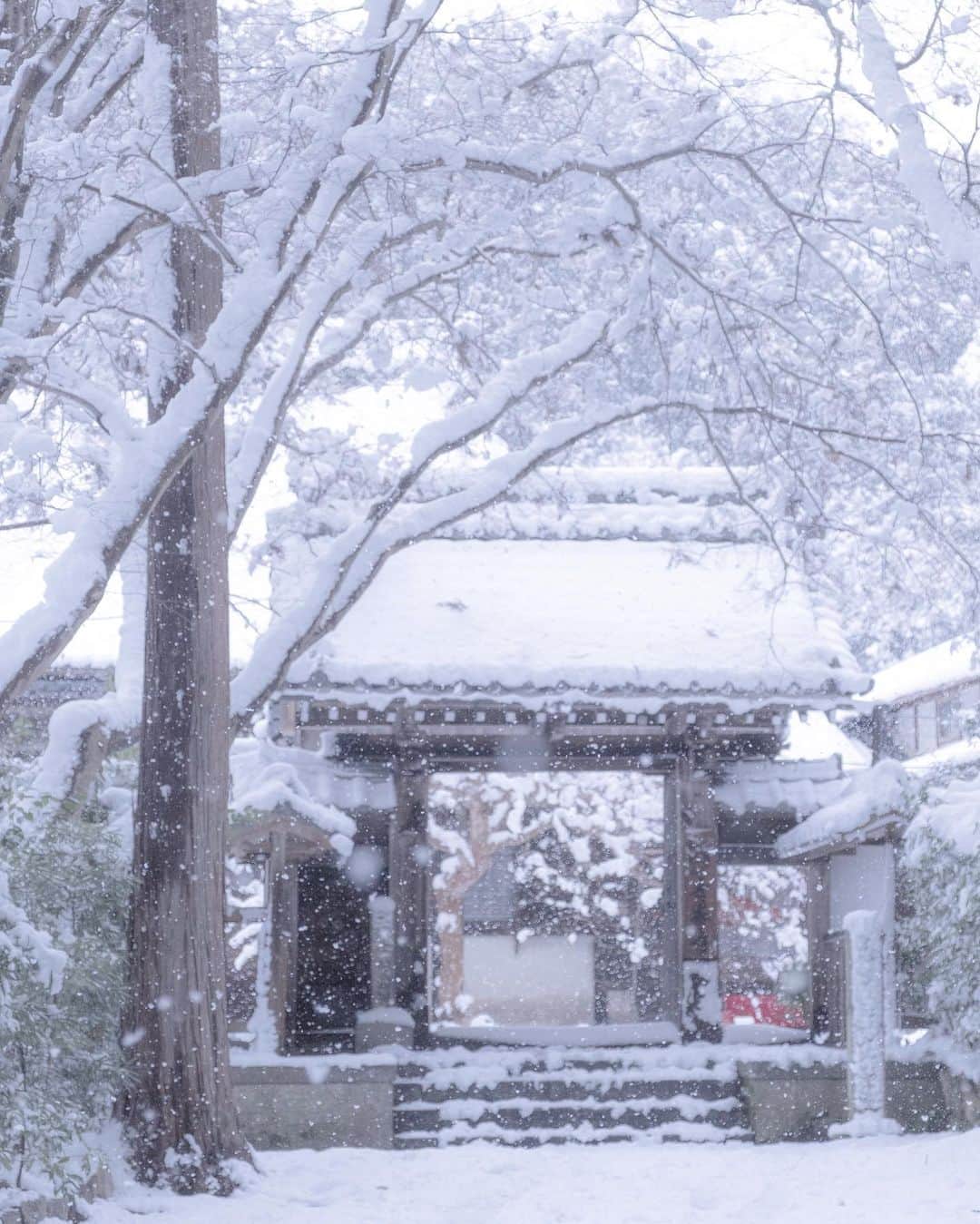 あや ◡̈*❤︎ayaさんのインスタグラム写真 - (あや ◡̈*❤︎ayaInstagram)「. . . 春夏秋冬、雪景色の こと想像しながら 見ています☃️  ココに雪降ったら 綺麗やろなぁ...って。  そんな場所がありすぎる。 そー簡単には雪積もらないけど😭  📍滋賀県」2月3日 20時23分 - aya.15aya
