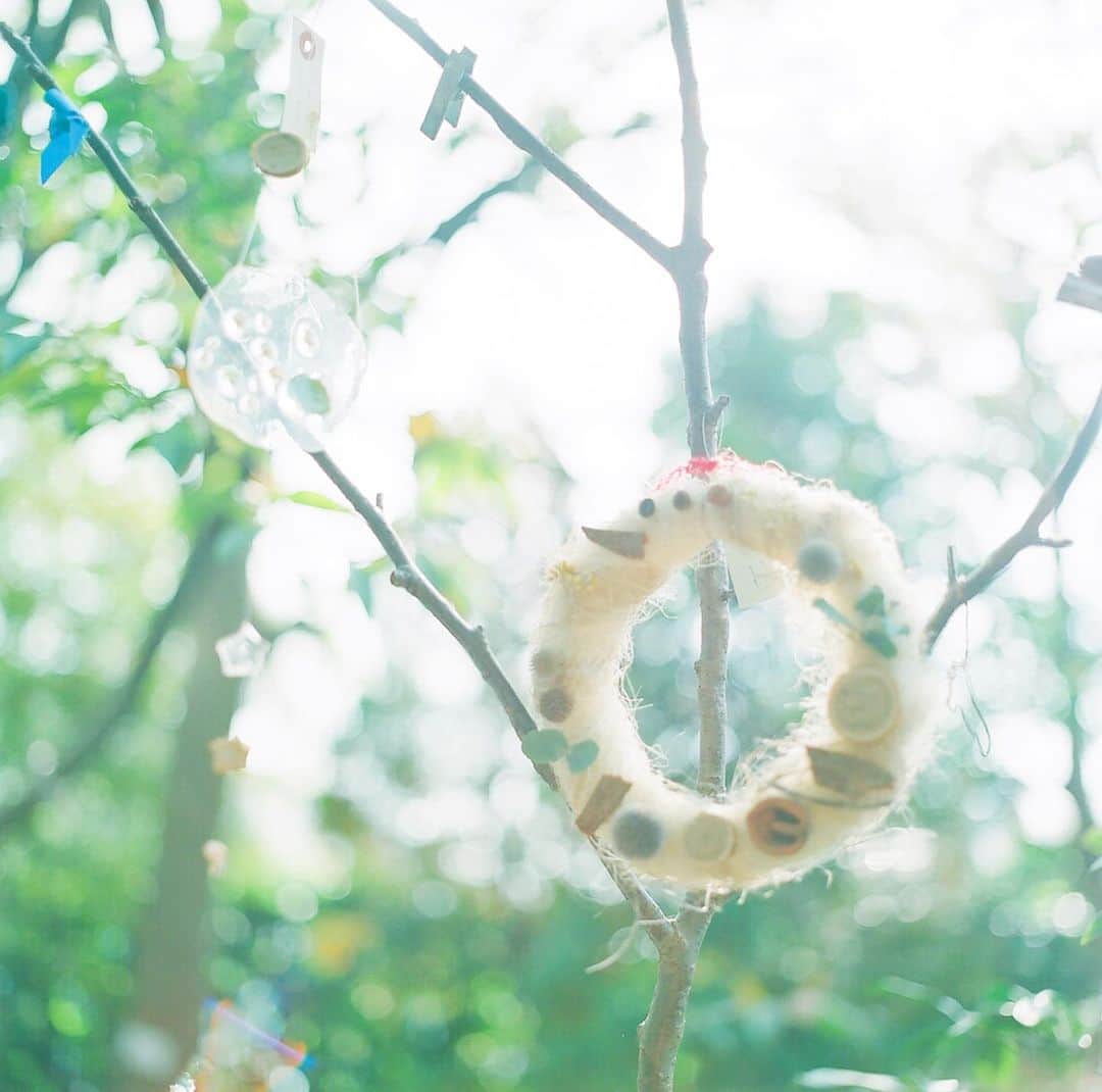 Sherryのインスタグラム：「ㅤㅤㅤㅤㅤㅤㅤㅤㅤㅤㅤㅤㅤ ㅤㅤㅤㅤㅤㅤㅤㅤㅤㅤㅤㅤㅤ 懐かしのフィルム写真を📷 ㅤㅤㅤㅤㅤㅤㅤㅤㅤㅤㅤㅤㅤ」