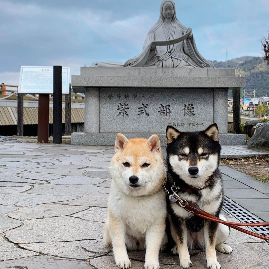 豆柴なつ&ふゆさんのインスタグラム写真 - (豆柴なつ&ふゆInstagram)「The Phoenix Hall of Byodo-in😊❤️ 平等院鳳凰堂😊❤️  #京都　#kyoto #平等院鳳凰堂 #紫式部  #柴犬#shiba #shibainu #shibastagram #ワンコ#sweet#豆柴#shibaaaaainu #cute #pecoいぬ部#doglove #シバフル#dogstagram #dogoftheday #instashiba #shibaaaaainu #shibaaddict #🐕📷 #ふわもこ部#love#sweetdream #犬#instacute #柴#proudshibas #cutepets」2月3日 20時33分 - mameshiba.natsuinu56