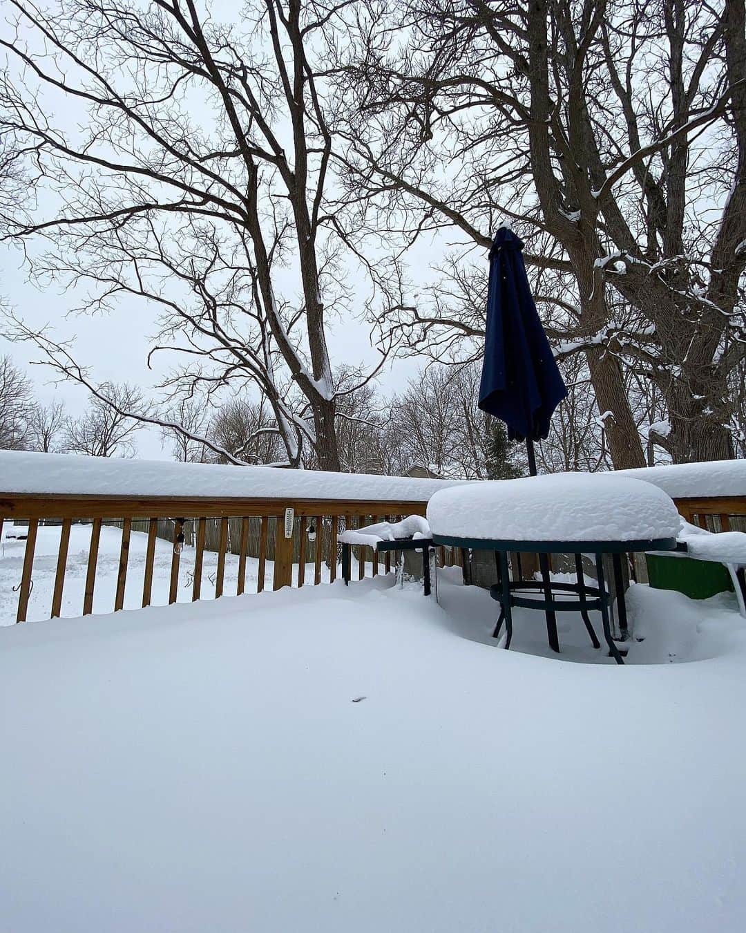 ベイカー恵利沙さんのインスタグラム写真 - (ベイカー恵利沙Instagram)「Snow storm Day2 ☃️ #アップステートnyの暮らし」2月3日 20時41分 - bakerelisa