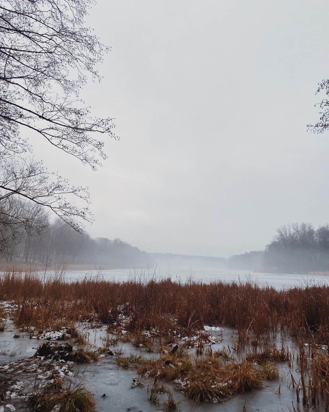STIL IN BERLINのインスタグラム：「Grey slush this morning in Grunewald, waiting for the freeze to come back on the weekend, never not on my couch, still, everything is kind of ... okay?」