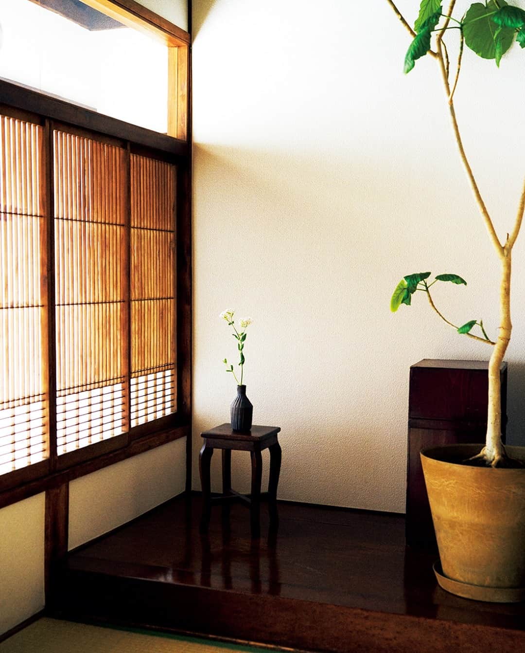 &Premium [&Premium] magazine.さんのインスタグラム写真 - (&Premium [&Premium] magazine.Instagram)「最新号は「くつろげる部屋に、整える」。 東京・荻窪にある昭和初期の家に暮らす、プロップスタイリスト酒井真貴子さん（@sakai.makiko）。「発見したのは床の間の良さ。花を飾るのが楽しいんです」（→p.58） photo : @akikobabaakiko #andpremium #アンドプレミアム #くつろげる部屋に整える #cozyrooms #インテリア #interiordesign #インテリアデザイン #decorate #decoration #整える #酒井真貴子 #床の間 #投げ入れ #花器 #季節の花」2月3日 21時01分 - and_premium