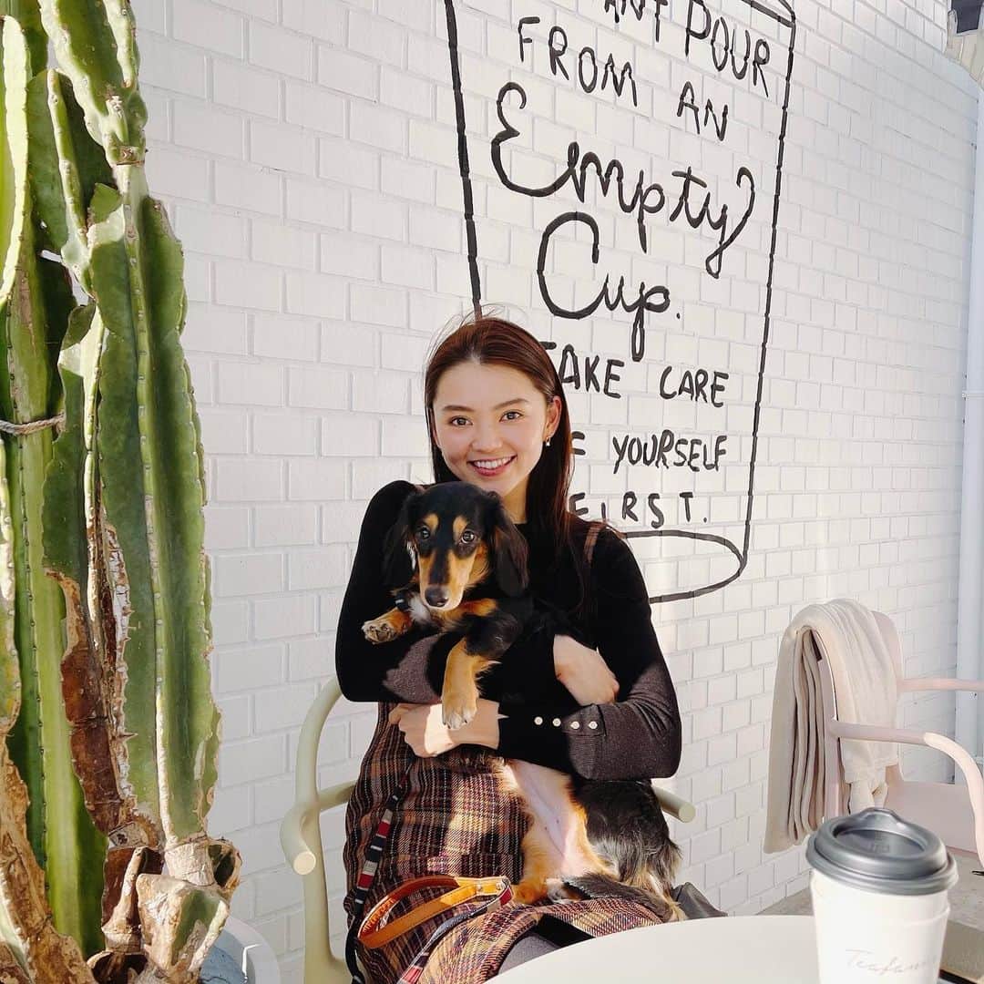 高原愛のインスタグラム：「お休みの今日はモモとお出かけ🥰🥰お散歩がてらカフェでお茶した💕今日は暖かくてテラスでも日中は暖かかったなぁ♬夕方になるとすごく寒くなってまだまだ冬ですね💦💦 犬もOKなカフェたくさん知りたいなぁ🥺💕  #dogcafe#cafe#coffee#coffeetime#dog#dogstagram#miniaturedachshund#ドックカフェ#犬のいる暮らし#犬のいる生活#カフェ巡り#いぬすたぐらむ#ミニチュアダックス#🐕#💓」