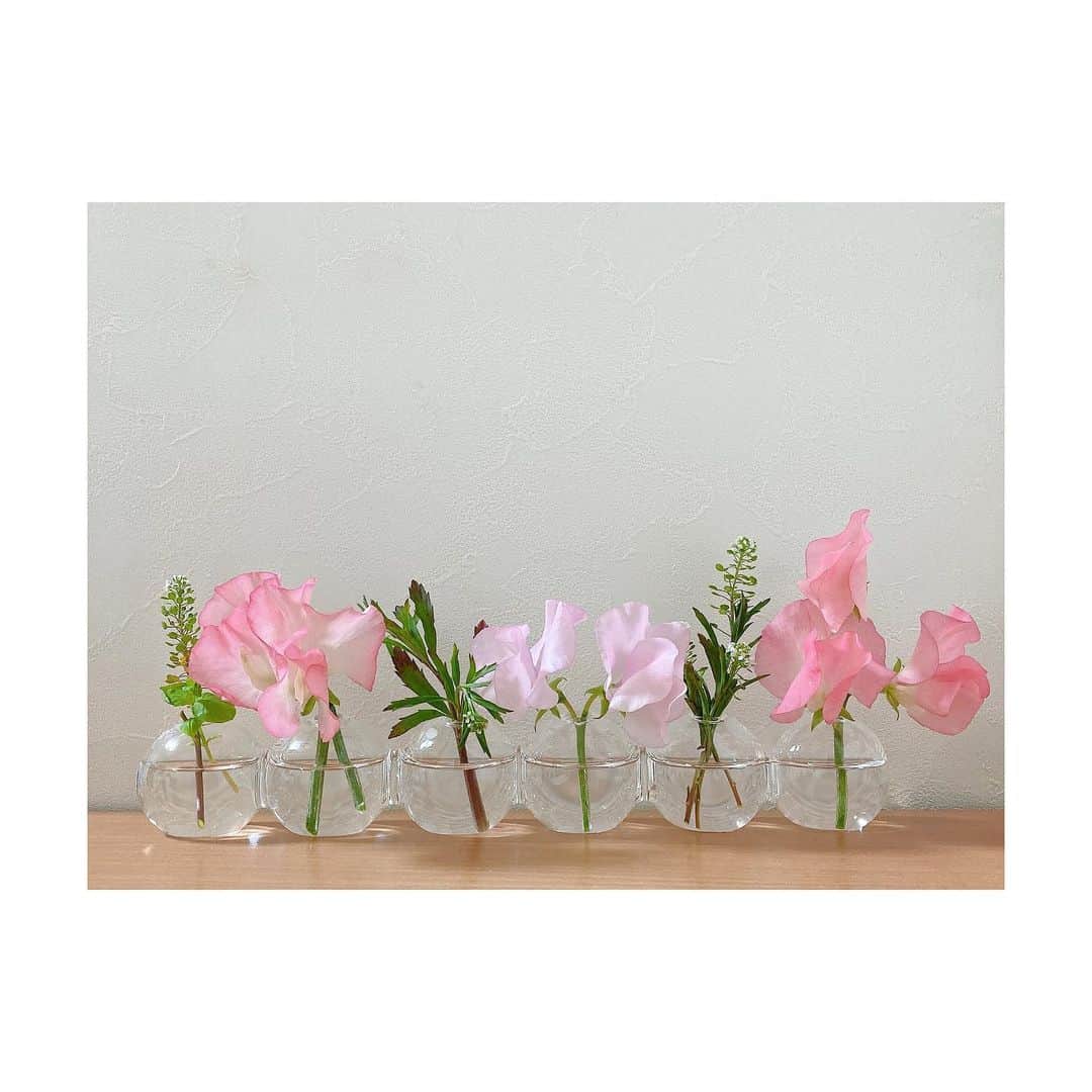 RINAのインスタグラム：「2月  スウィートピーは香りも良くて可憐で癒されます🥰 春も近いですね🍀  #お花のある暮らし  #スウィートピー」