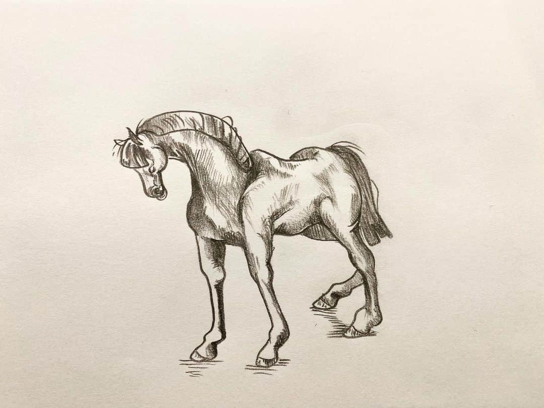 LiLi （矢野り々子）さんのインスタグラム写真 - (LiLi （矢野り々子）Instagram)「horse  lili 14yrs old  #もうすぐ学年末試験 #無口になるわたし #矢野り々子」2月3日 22時05分 - liliko.y