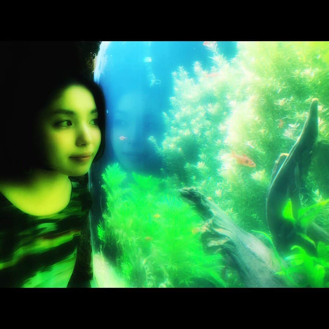 城南海さんのインスタグラム写真 - (城南海Instagram)「Feburary 3,2020  #城南海 #月刊城南海  #kizukiminami #minamikizuki #singer  #music #japan #tokyo #instagood #reflection #reflections #fish #aquarium  #universe #merrygoround #sealion #life #sea #existence #産声 #underthesea #water #junokamoto #🐟 hairmake&photo 加藤リーヌ @cat_rinu」2月3日 22時16分 - kizukiminami