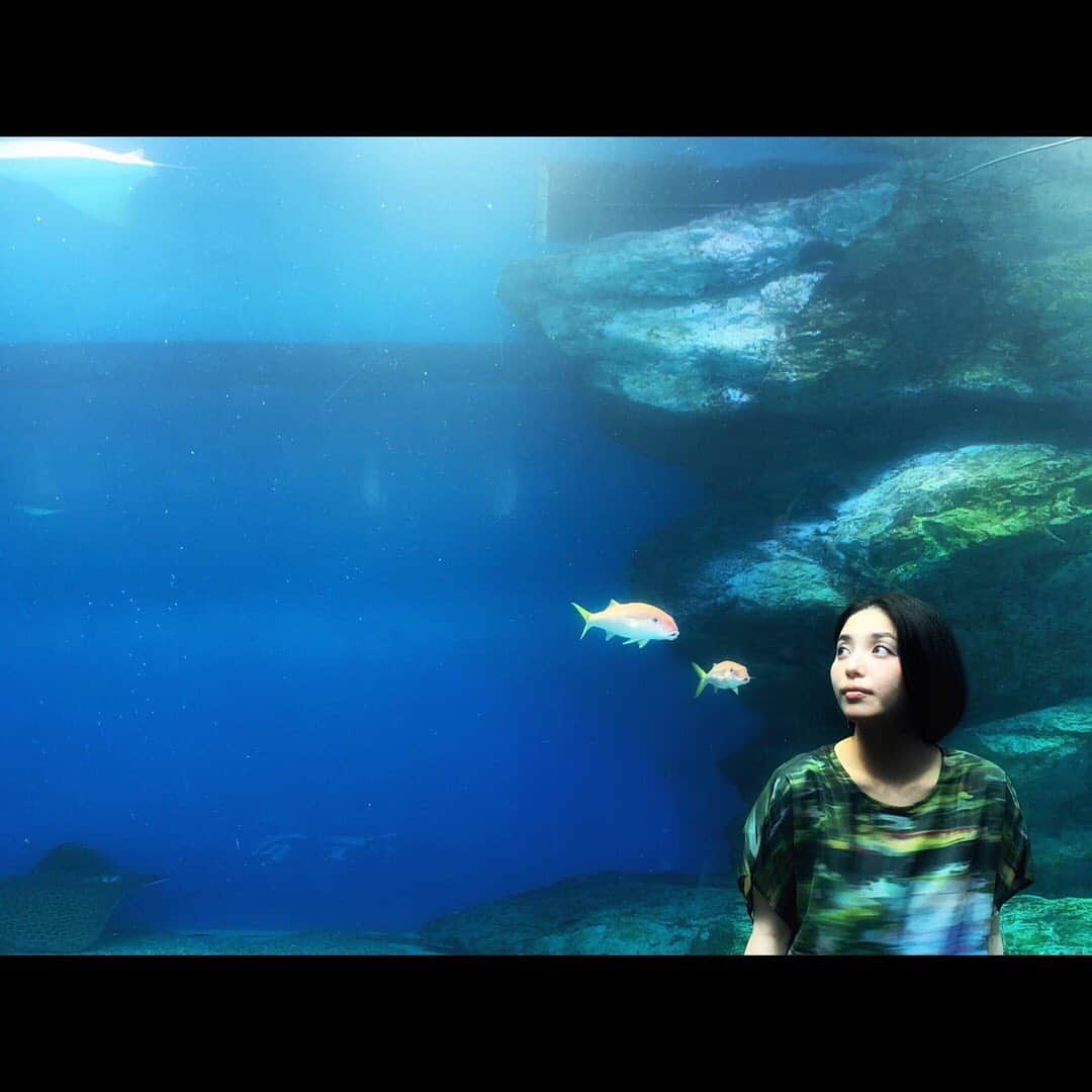 城南海のインスタグラム：「Feburary 3,2020  #城南海 #月刊城南海  #kizukiminami #minamikizuki #singer  #music #japan #tokyo #instagood #reflection #reflections #fish #aquarium  #universe #merrygoround #sealion #life #sea #existence #産声 #underthesea #water #junokamoto #🐟 hairmake&photo 加藤リーヌ @cat_rinu」