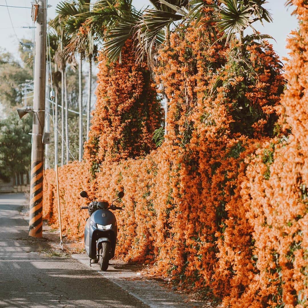 李翔のインスタグラム：「我家附近就有網美牆☺️﻿ ﻿ ﻿ #宏佳騰智慧電車﻿ ﻿ #SonyAlpha #SonyA7C #sel85f18﻿ @sonytaiwan ﻿ @sonyalpha﻿」