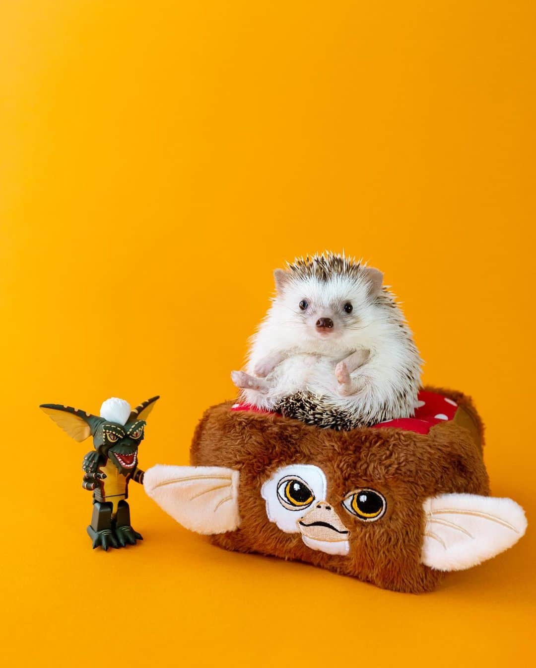 ダーシーのインスタグラム：「GREMLiNS💛💚🧡  グレムリンの新作アニメをずーっと待ってるんだけど、いつ配信されるのかな〜🤔⁉️  @lalune1022 さんに作ってもらっちゃったギズモソファー✨ ペンケースを分解してソファーにしたんだって😳いつもながらクオリティがすごい👏🏻✨  コアラは寝起きのキョトン顔🐨💤」