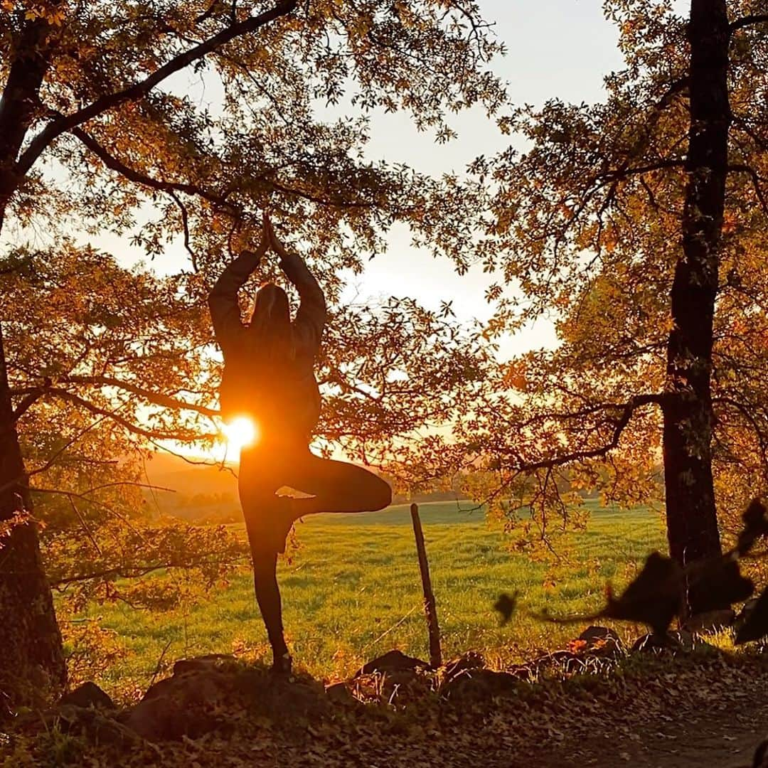 カロリーナ・コストナーさんのインスタグラム写真 - (カロリーナ・コストナーInstagram)「Il sole dentro di me ☀️🧘‍♀️ Sunny inside  #mindfullness #sunsetwalk #enjoythelittlemoments」2月3日 22時32分 - mskostner