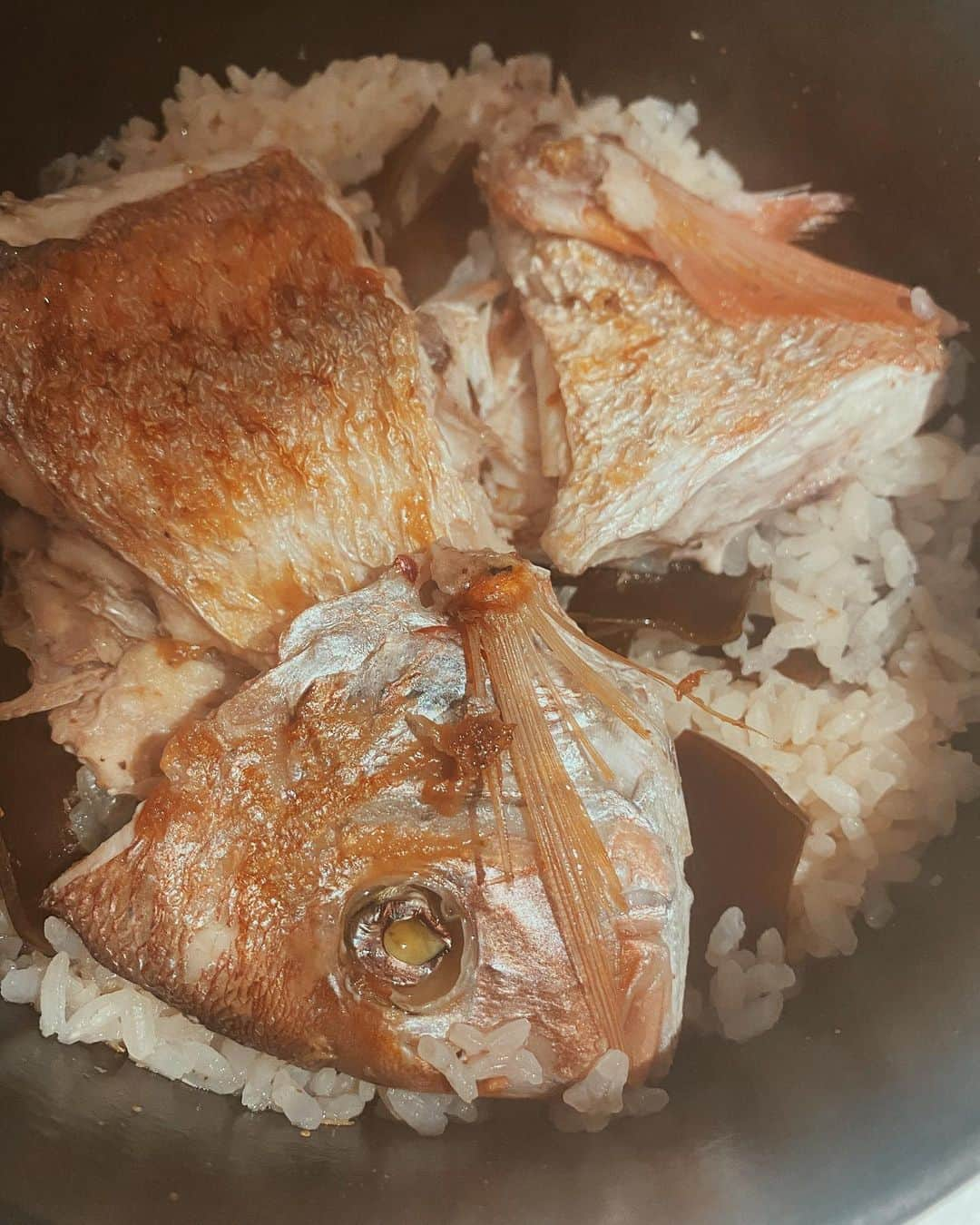 金子渚さんのインスタグラム写真 - (金子渚Instagram)「お休みの今日はゆっくり夕食の準備。 ちこ鯛を買ってあったので炊き込みご飯に🍚  ふわ〜っといい香りで美味しかった〜  #nagirecipe」2月3日 23時01分 - nagisakaneko