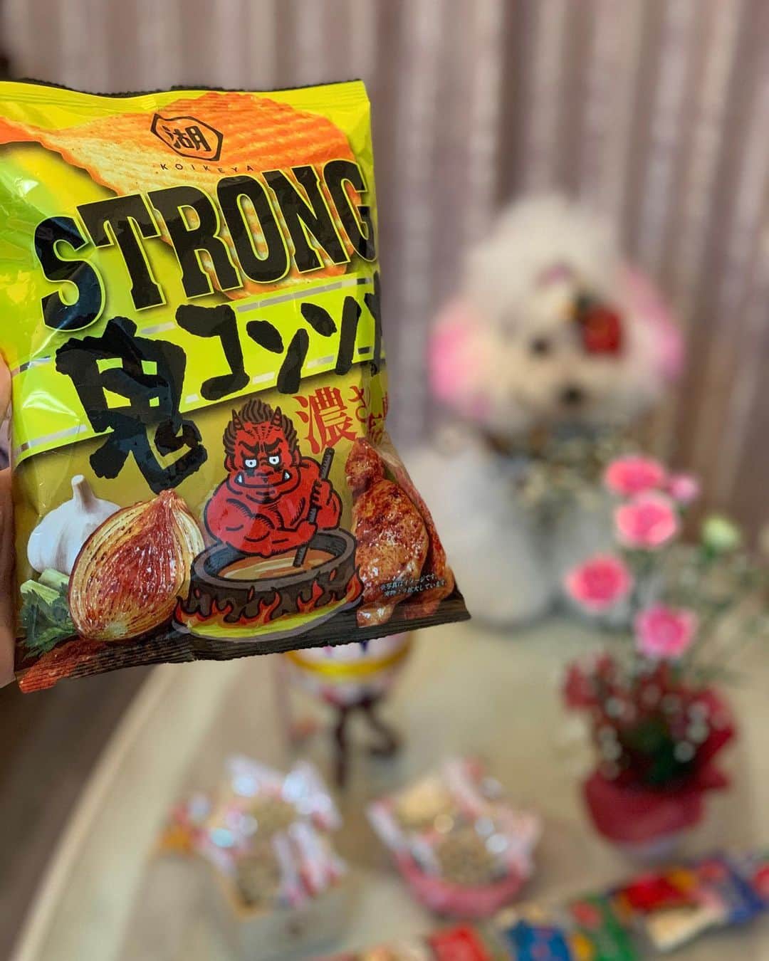 田中めぐみのインスタグラム