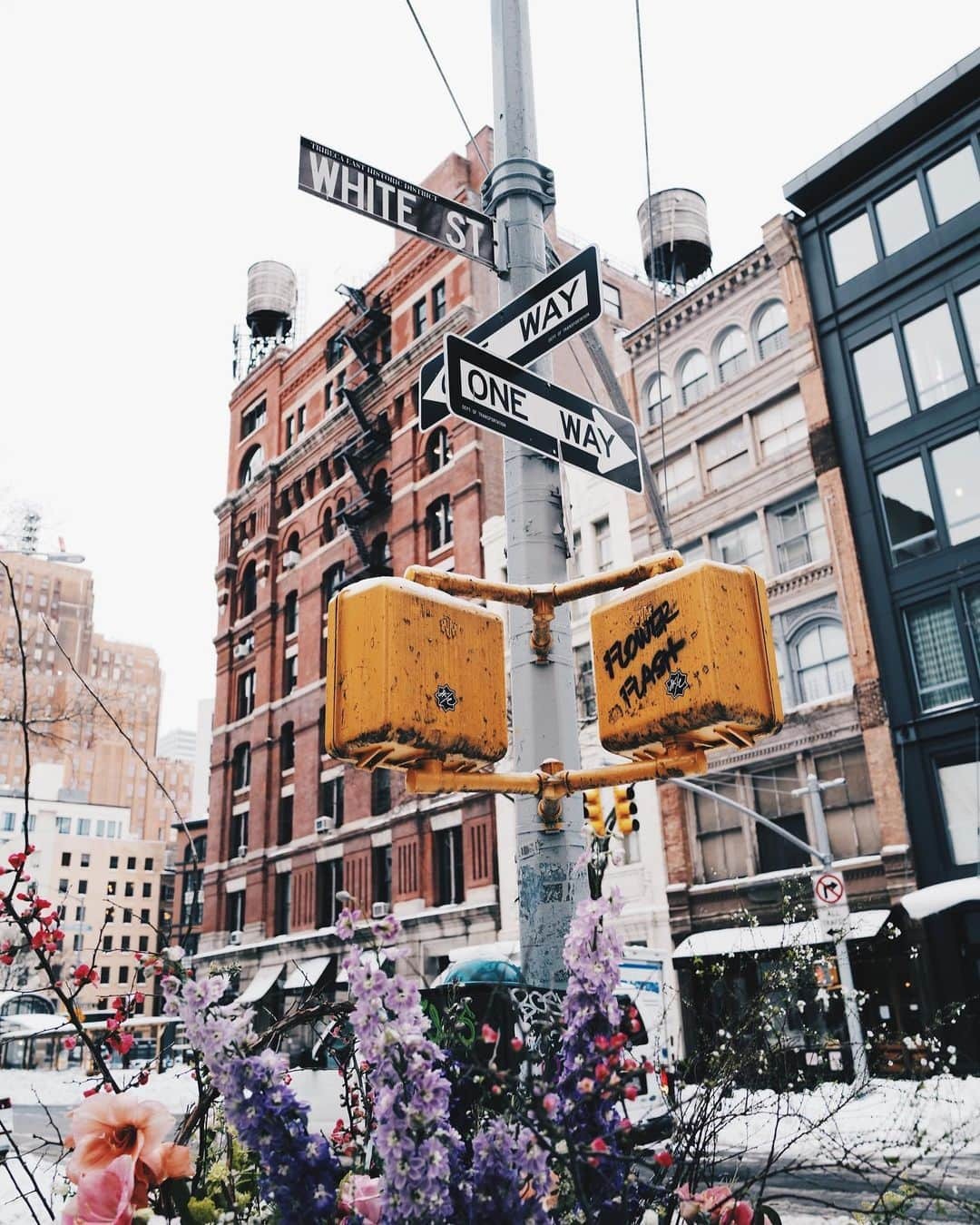 トッドスナイダーさんのインスタグラム写真 - (トッドスナイダーInstagram)「Flower Flash 🌺 Getting in the mood for tomorrow's Todd Snyder x John Derian launch. Stop by W. Broadway & White St, in front of the Liquor Store and snap a pic of the Flower Flash by @lewismillerdesign 🗓 The collection drops tomorrow, Feb. 4, at 11am online and in store ⬆️Tap the bio link to sign up for early access ⬆️ #FlowerFlash #ToddSnyder #flowersfornewyork #lmdxnyc  #IloveNY @flowerflashnyc 📷@therealgemmanoakes」2月3日 23時45分 - toddsnyderny