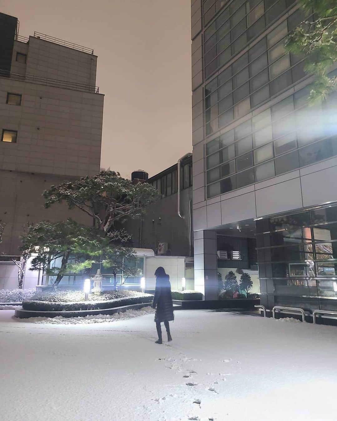 チュ・ミンギョンさんのインスタグラム写真 - (チュ・ミンギョンInstagram)「눈이 나린다」2月4日 0時16分 - jumingyung