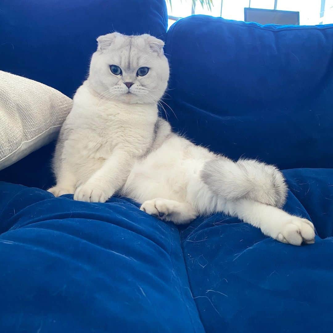 Hiroのインスタグラム