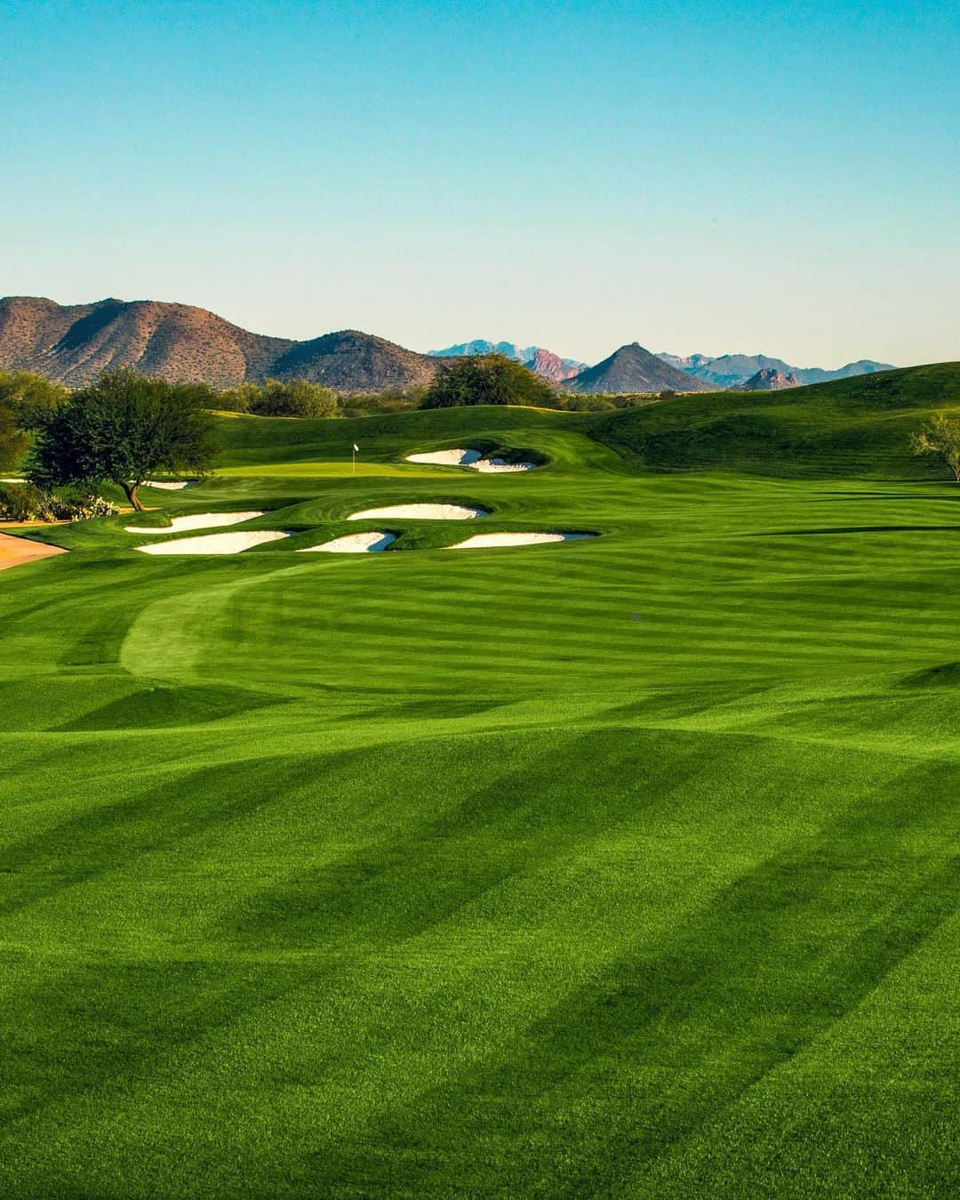 PGA TOURさんのインスタグラム写真 - (PGA TOURInstagram)「Soak in the views @TPCScottsdale. 😍」2月4日 0時36分 - pgatour