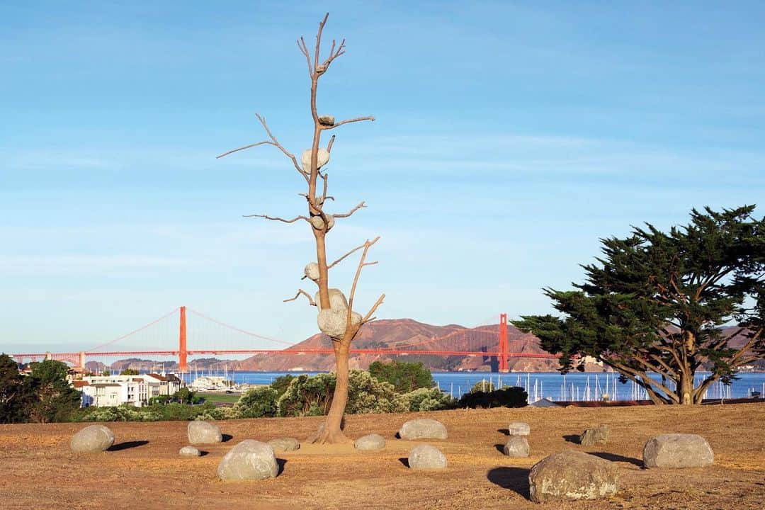 のインスタグラム：「#GagosianQuarterly: "Giuseppe Penone’s works often allow us to set our own, corporeal sense of time against the more extended lifespan of a tree, a stone, and ultimately the earth itself." —Elizabeth Mangini  In a new piece for "Gagosian Quarterly," Elizabeth Mangini writes on Giuseppe Penone’s installation of two sculptures at San Francisco’s Fort Mason, on view through March 28. Follow the link in our bio to read the article. __________ #GiuseppePenone #Gagosian Installation view, Fort Mason, San Francisco, 2019–21; (1) "Idee di pietra (Ideas of Stone)," 2004; (2) "La logica del vegetale (The Logic of the Vegetal)," 2012. Artwork © Giuseppe Penone/2021 Artists Rights Society (ARS), New York/ADAGP, Paris. Photo: @matthewmillmanphoto」