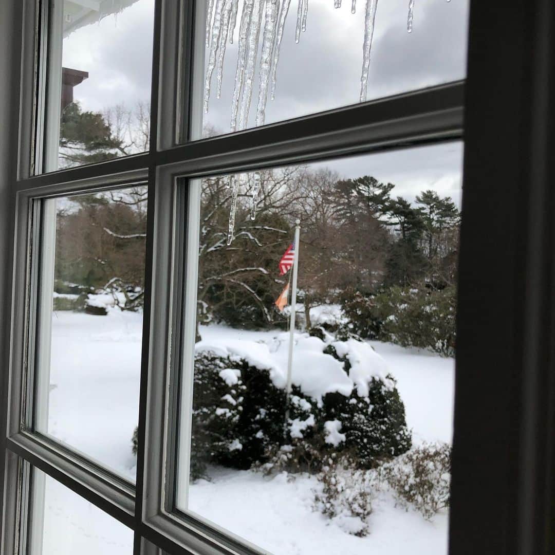 スーザン・ルッチのインスタグラム：「Icicles outside my window this morning!❄️❄️❄️ #afterthenoreaster」