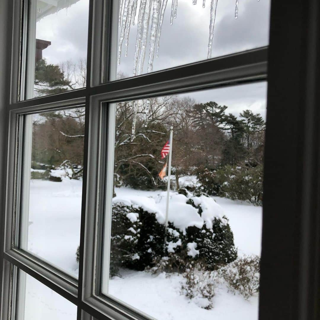 スーザン・ルッチさんのインスタグラム写真 - (スーザン・ルッチInstagram)「Icicles outside my window this morning!❄️❄️❄️ #afterthenoreaster」2月4日 2時03分 - therealsusanlucci