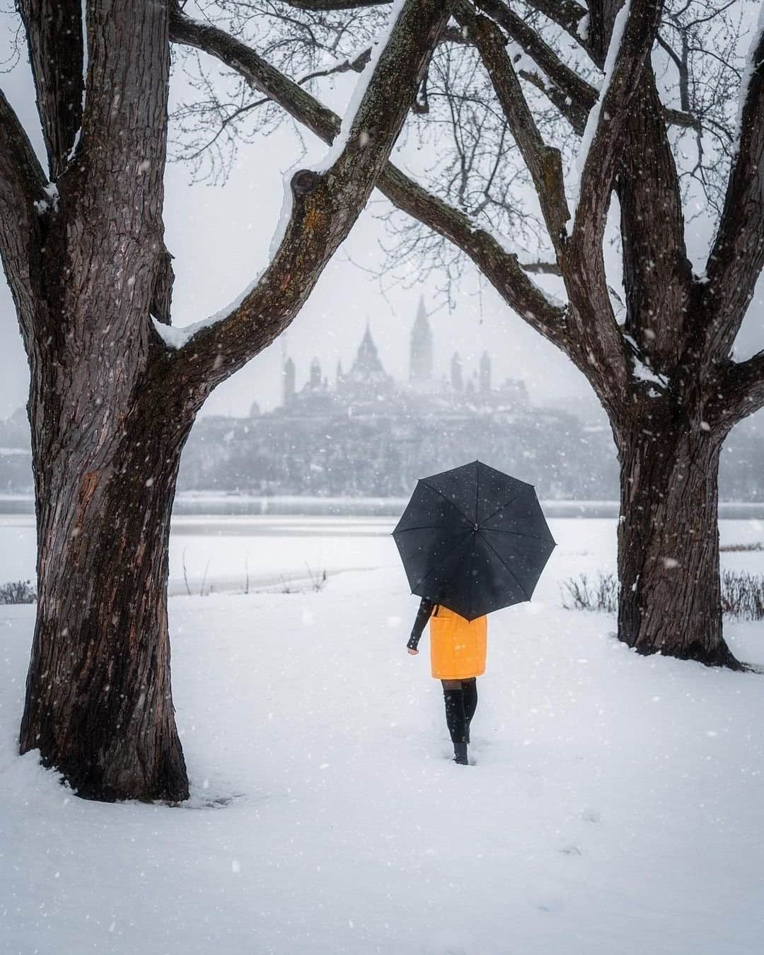Explore Canadaのインスタグラム：「Hands up if you think our nation’s capital looks magical under a blanket of snow!? ✋ #ExploreCanada #CanadaNice⁠ ⁠ *Know before you go! Check the most up-to-date travel restrictions and border closures before planning your trip and if you're travelling in Canada, download the COVID Alert app to your mobile device.*⁠ ⁠ 📷: @zeddyysfilter⁠ 📍: @ottawatourism, @ontariotravel⁠ ⁠ #MyOttawa #DiscoverON⁠」